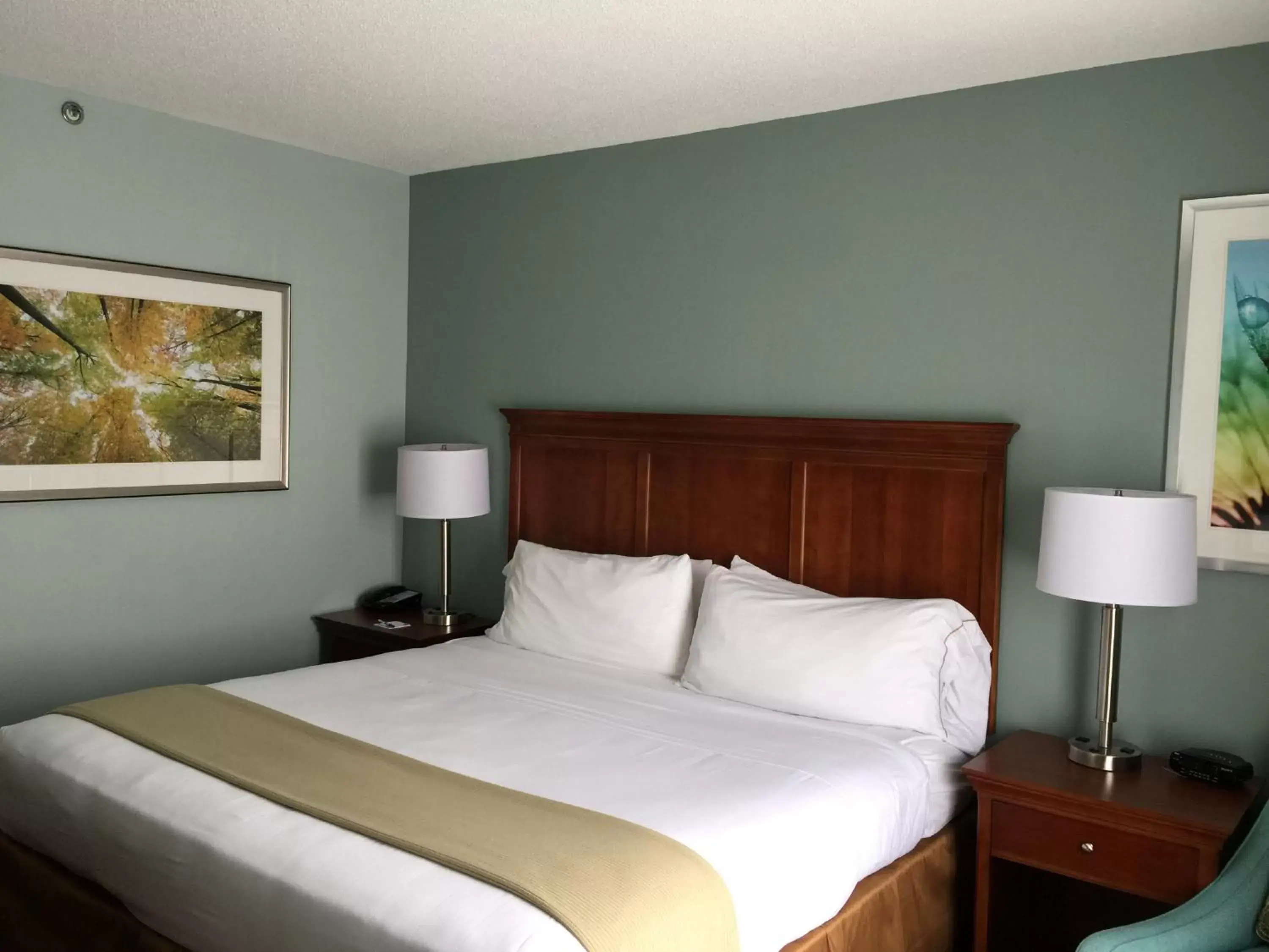 Bedroom, Bed in Baymont Inn & Suites Braselton Bedroom, Bed in Baymont Inn & Suites Braselton