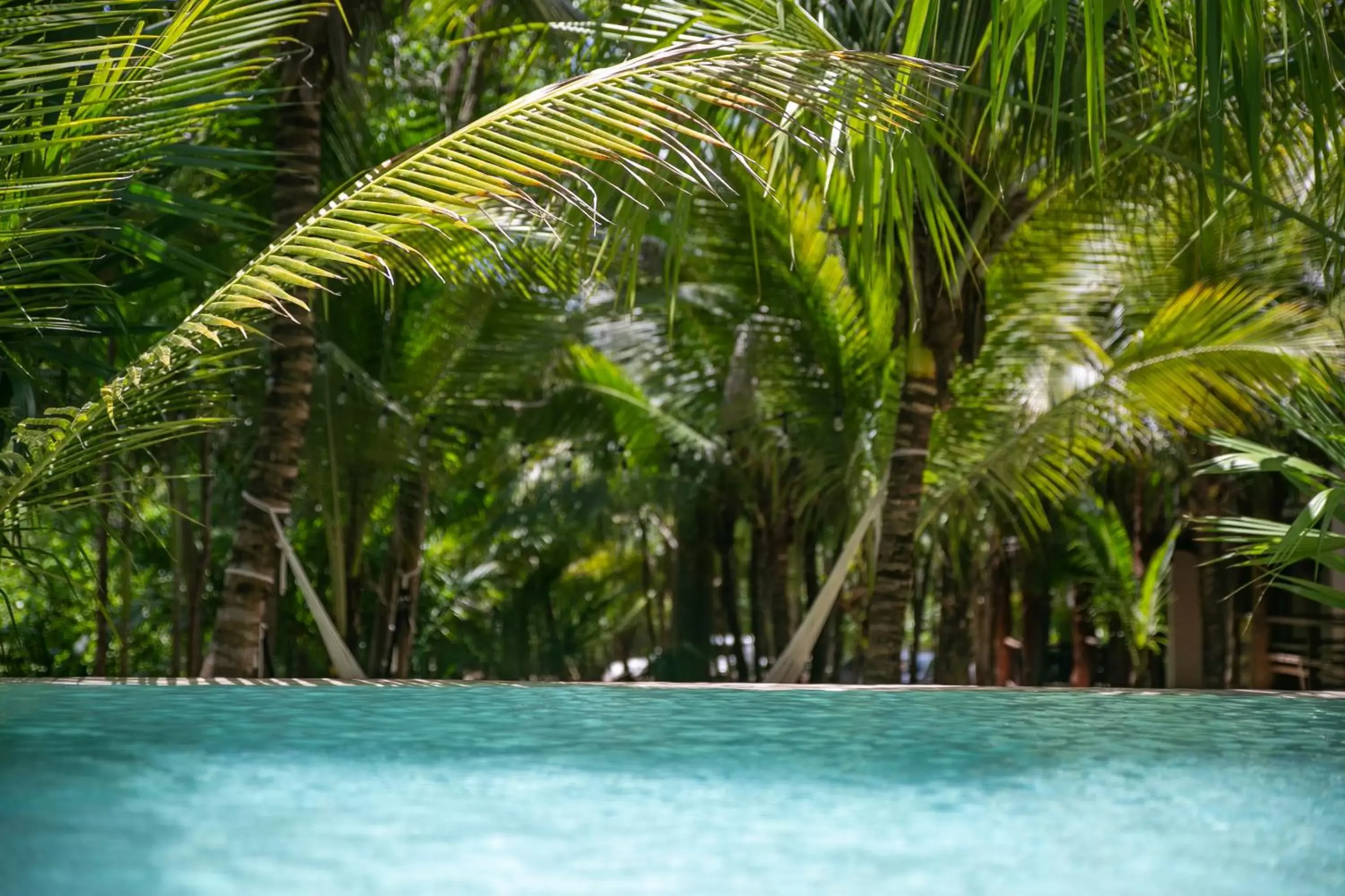 Swimming pool in Hotel Buenavista Bacalar - Yoga & Meditation Included