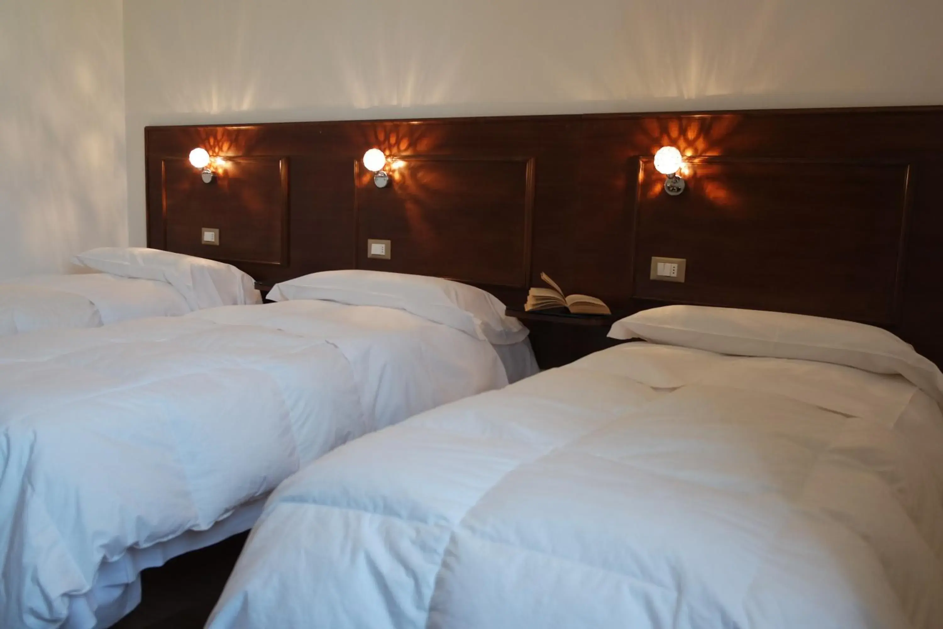 Bed, Room Photo in Hotel Livio