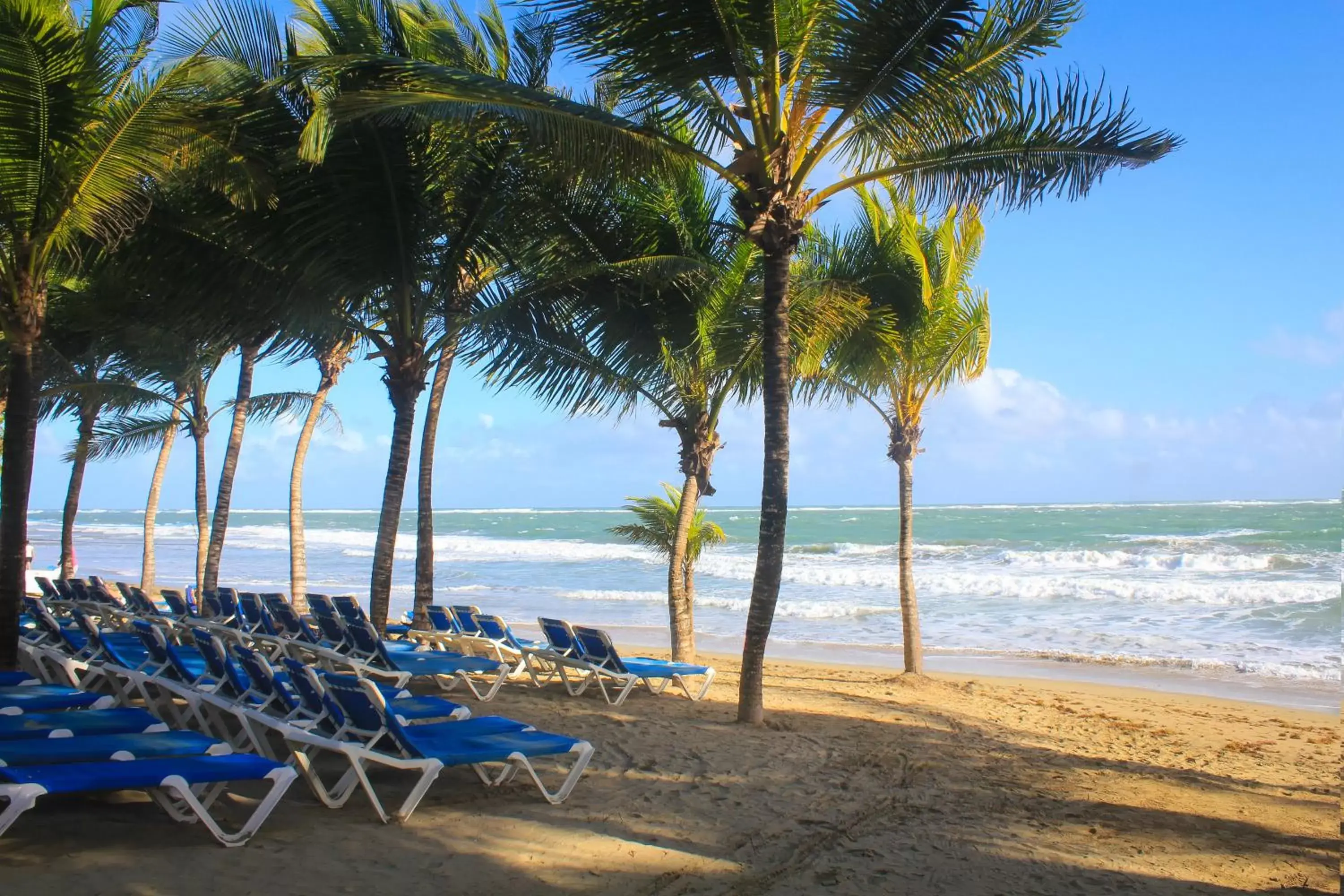 Beach in Viva Tangerine by Wyndham, A Trademark All Inclusive