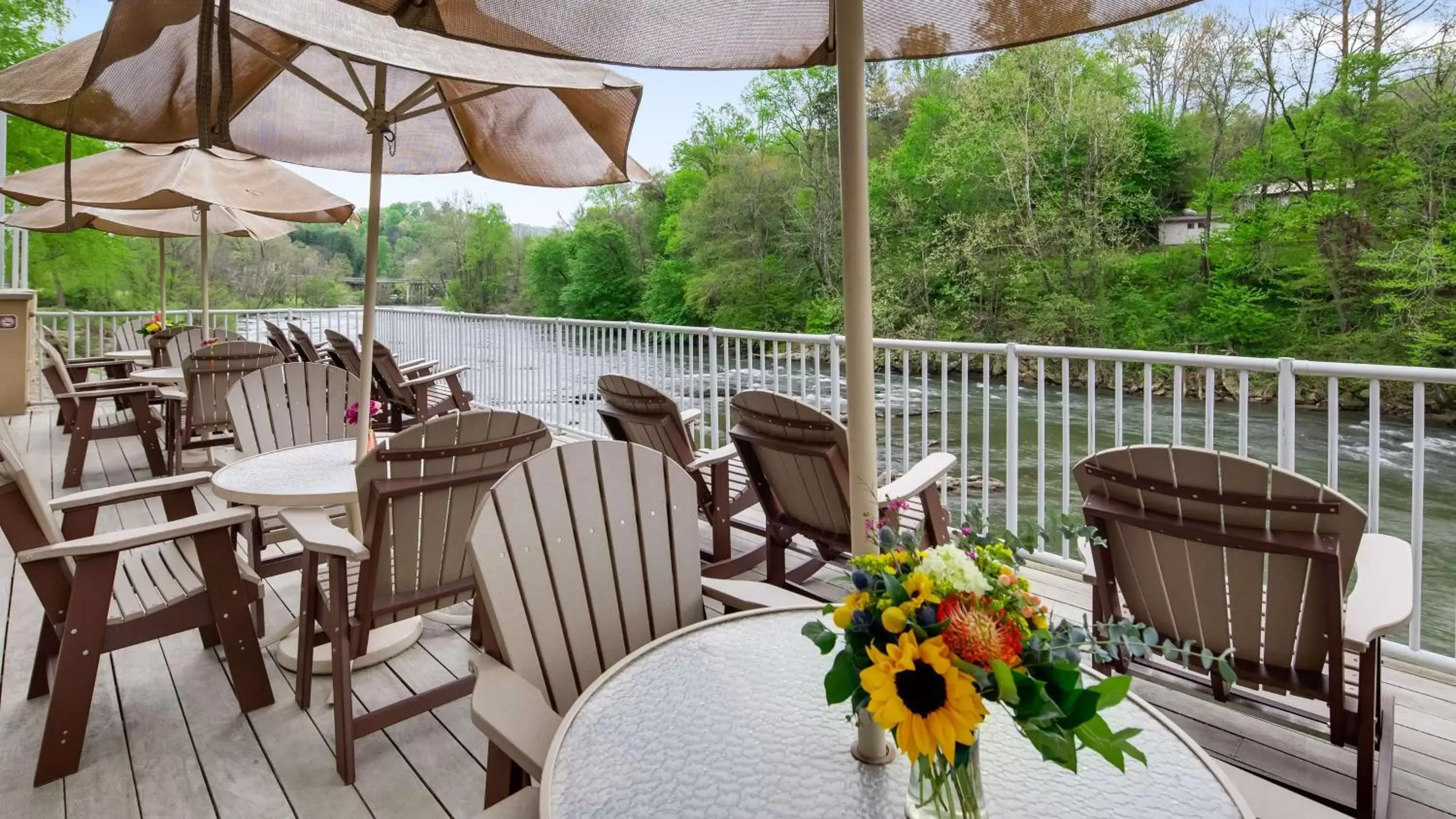 Balcony/Terrace in Best Western Plus River Escape Sylva / Dillsboro