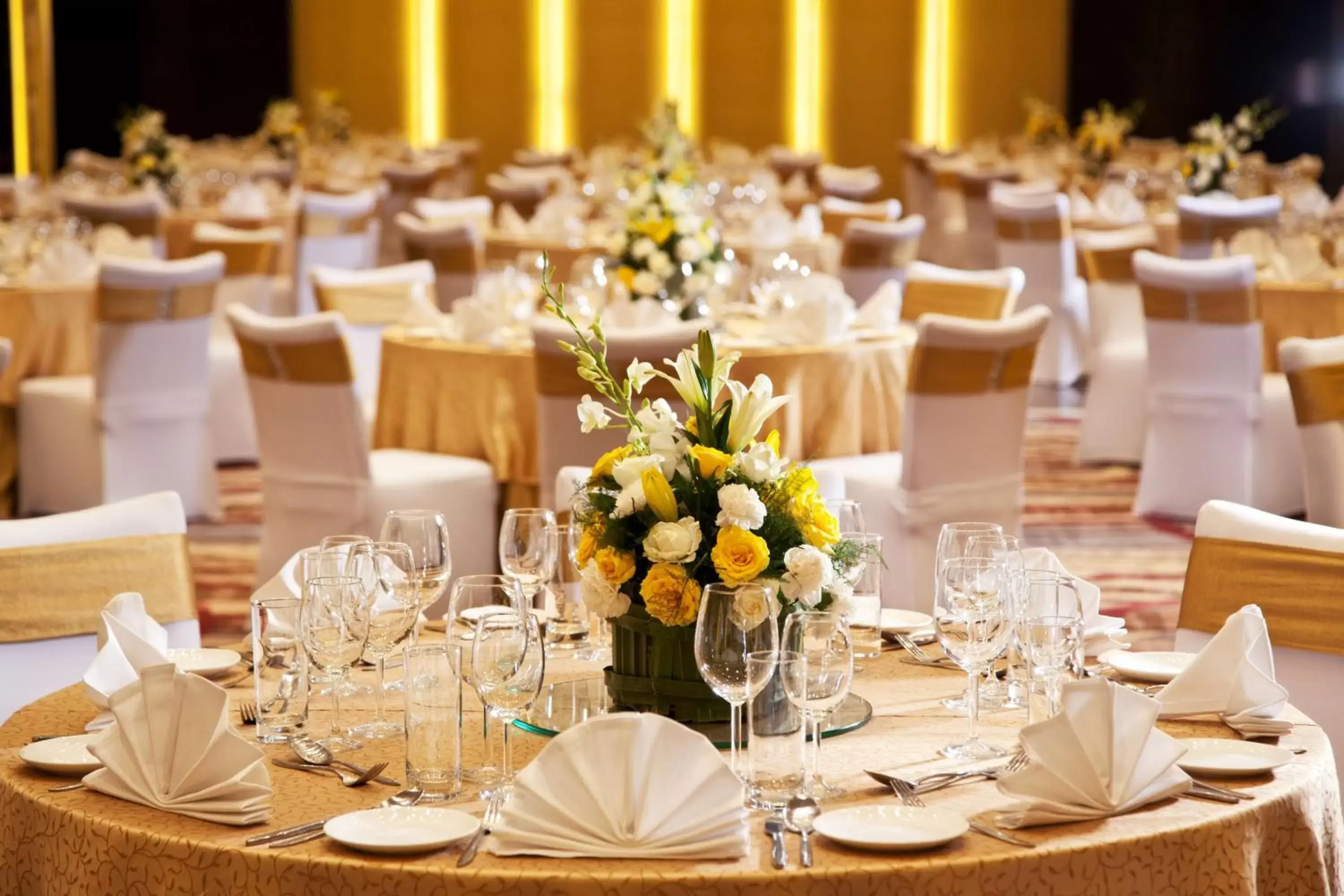 On site, Banquet Facilities in Radisson Blu Plaza Delhi Airport