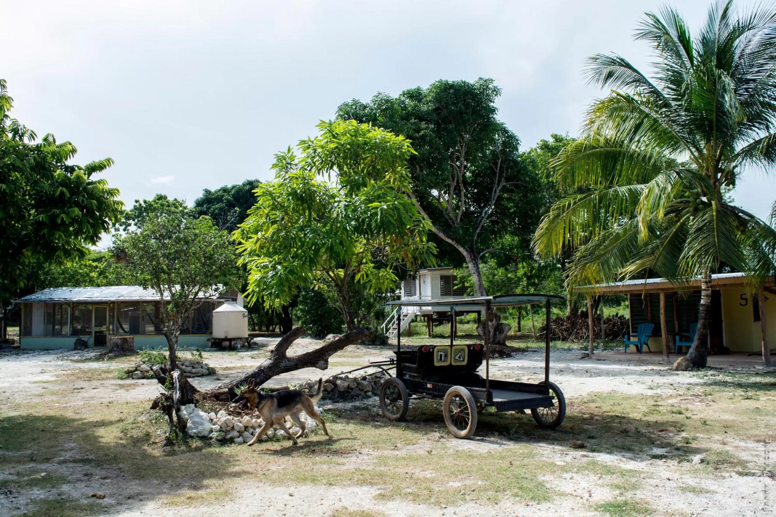 Property building in Horse Cottage