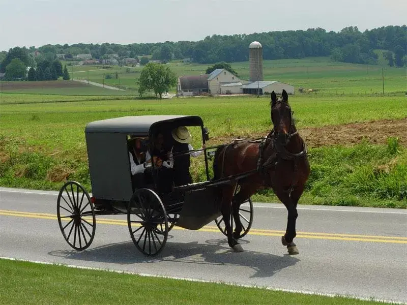 Day, Horseback Riding in The Inn at Leola Village, a Historic Hotel of America