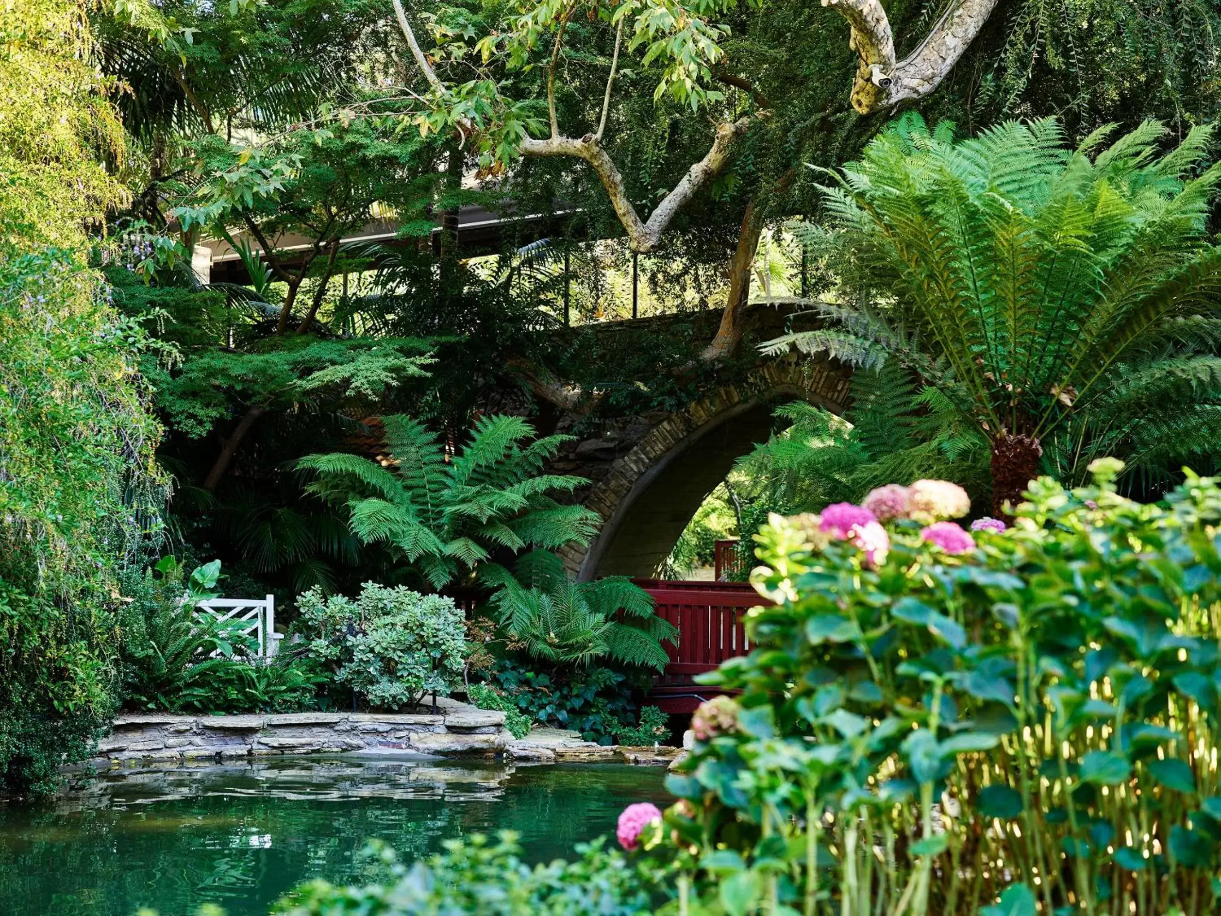 Garden in Hotel Bel-Air - Dorchester Collection