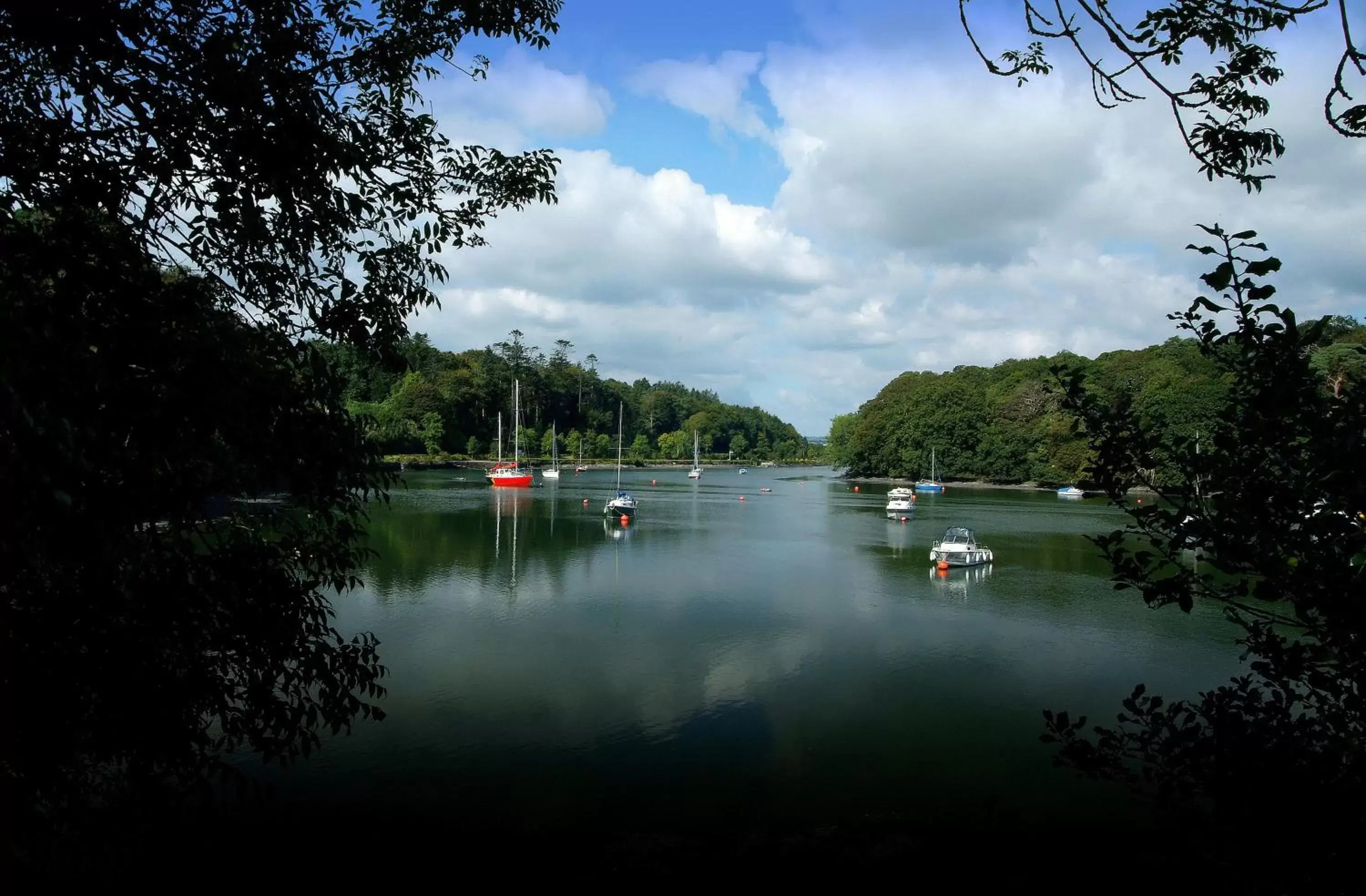 Natural landscape in Carrigaline Court Hotel & Leisure Centre