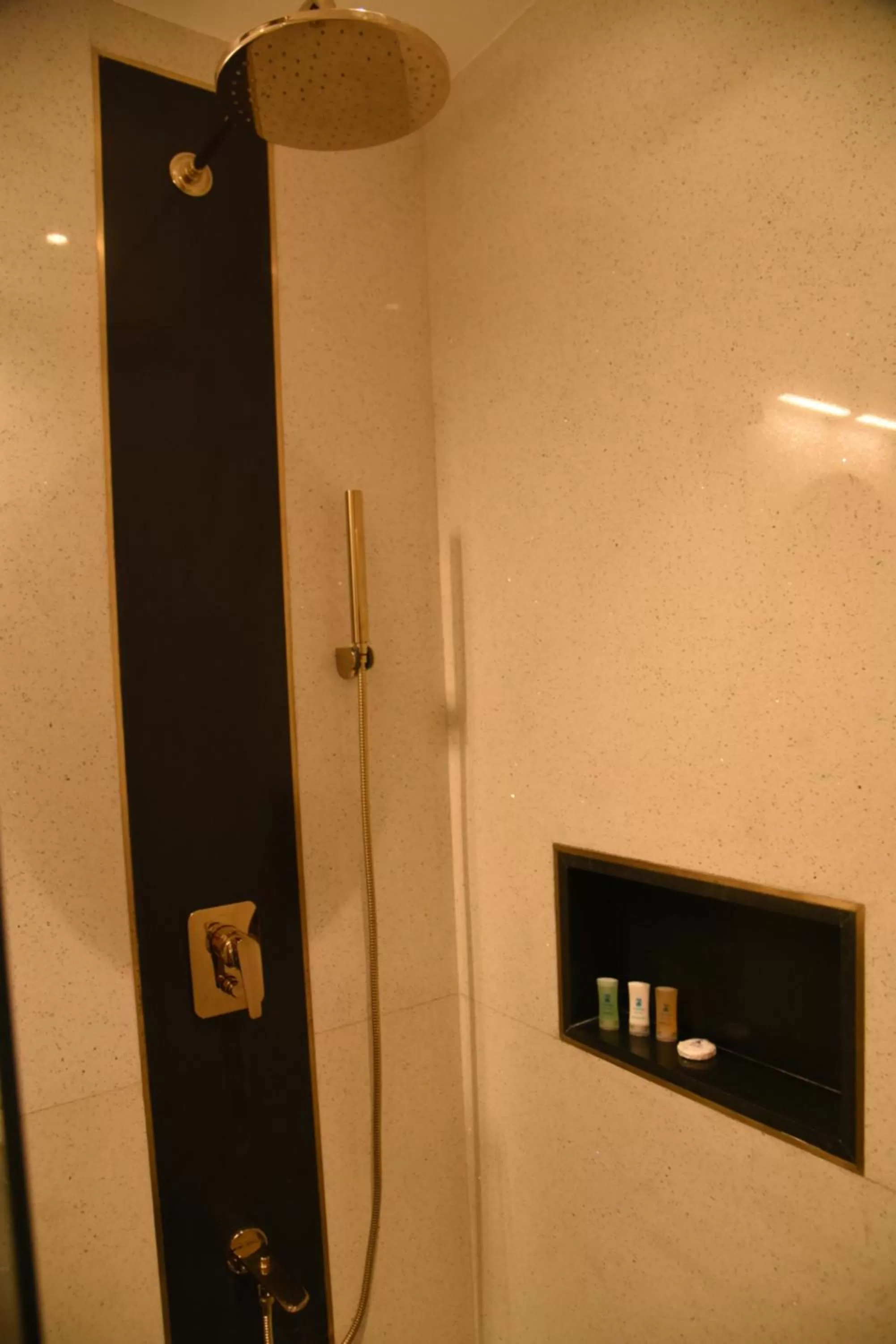 Shower in Manuelsons Malabar Palace