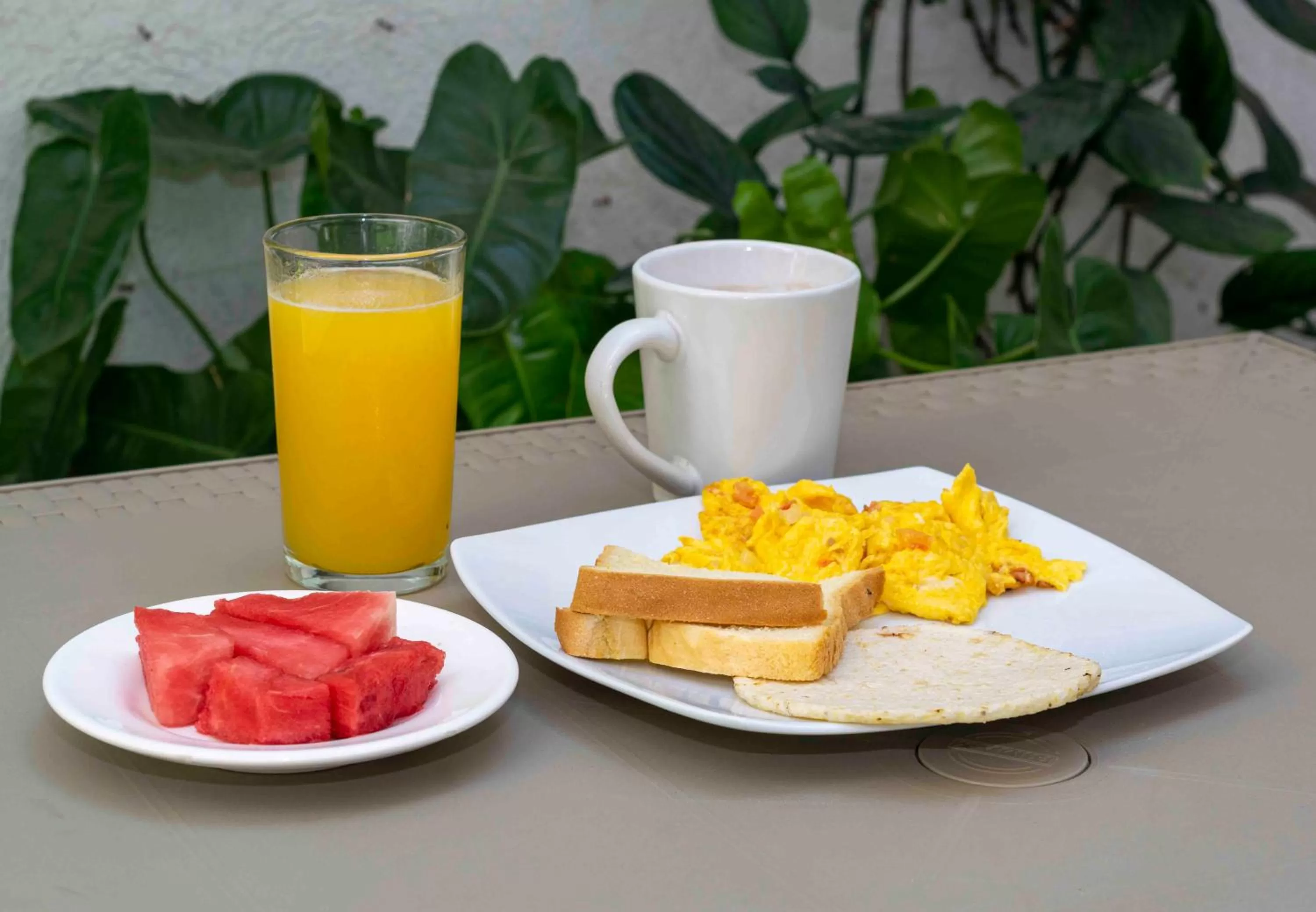 Food and drinks in Hotel El Olimpo