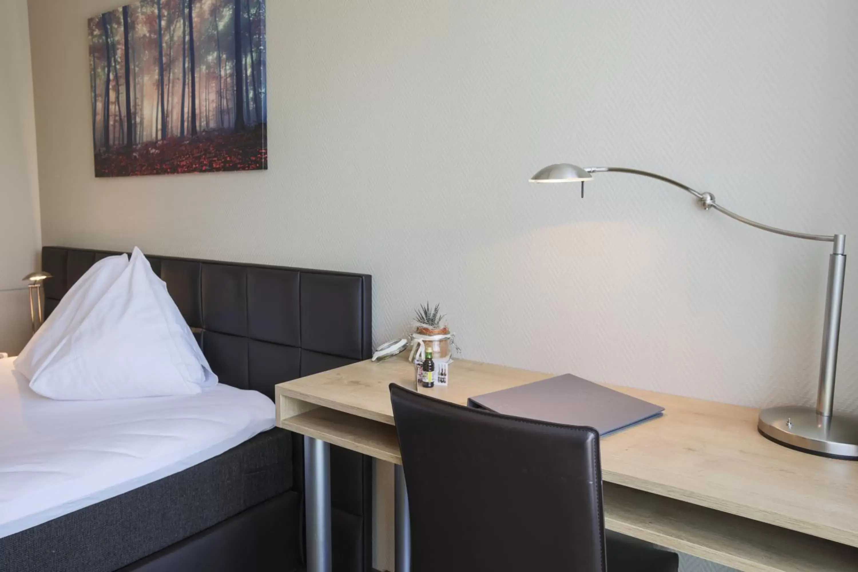Single Room in Herisau Swiss Quality Hotel