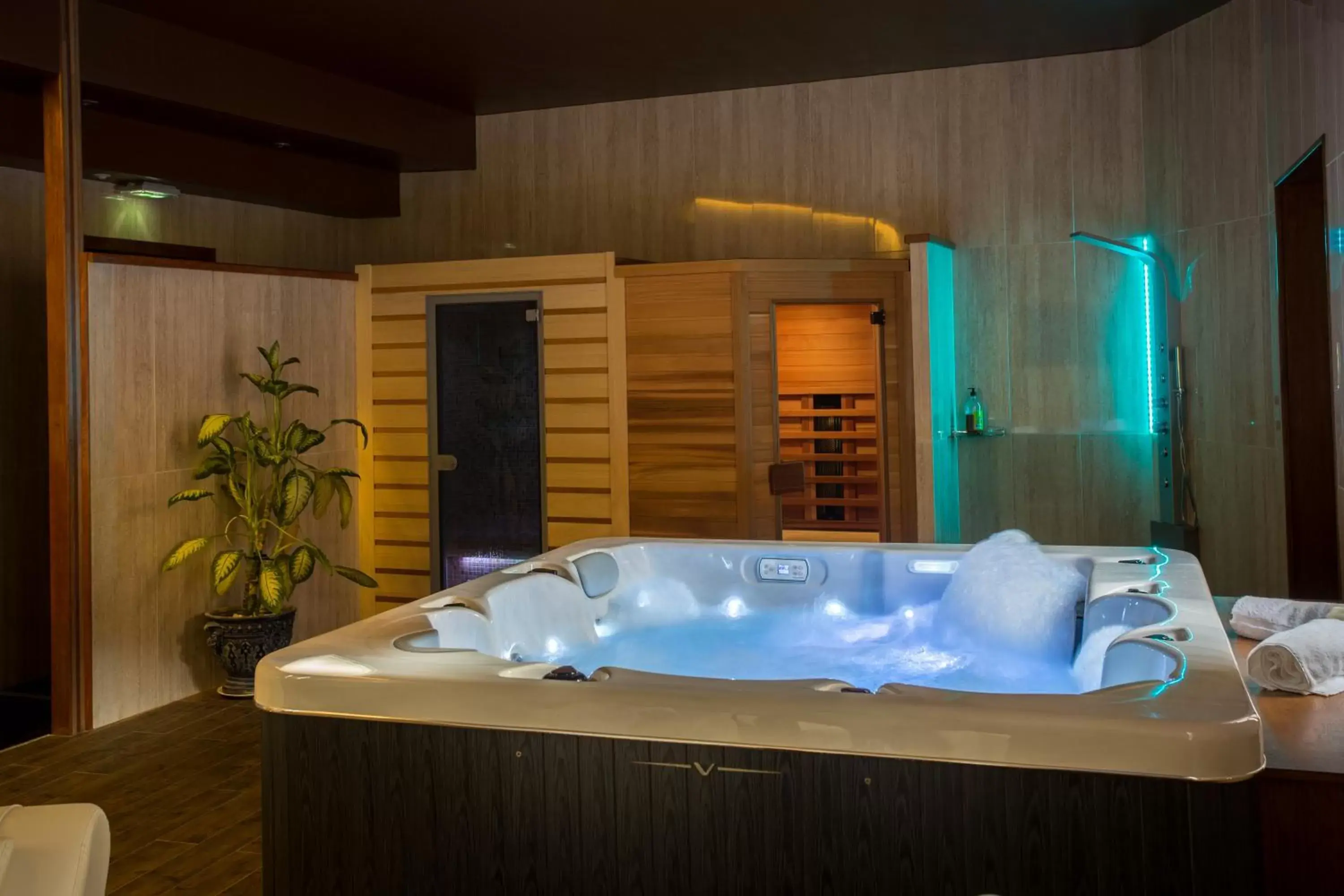 Spa and wellness centre/facilities in Hôtel & Spa Greuze