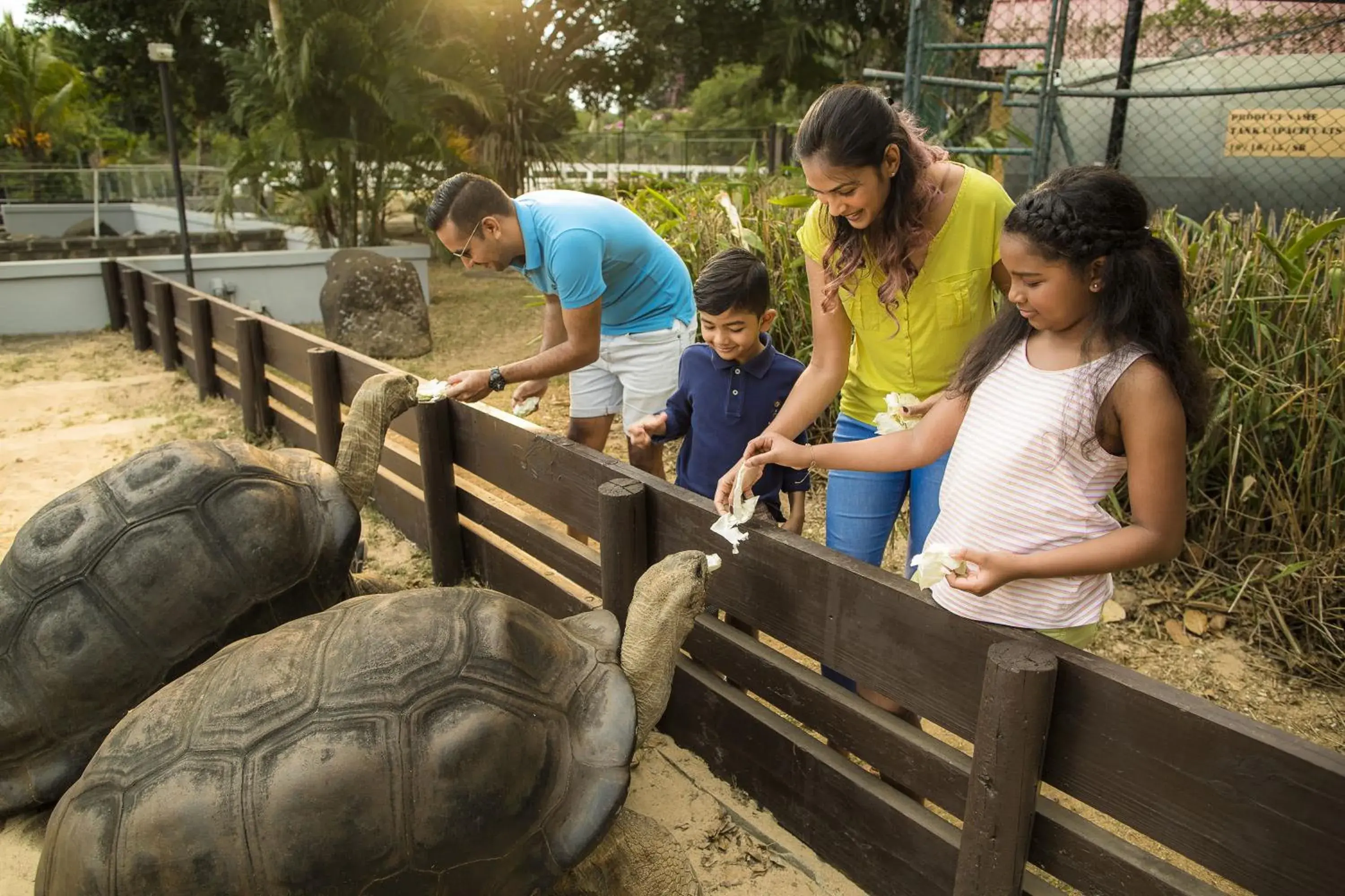 Activities in Maritim Resort & Spa Mauritius