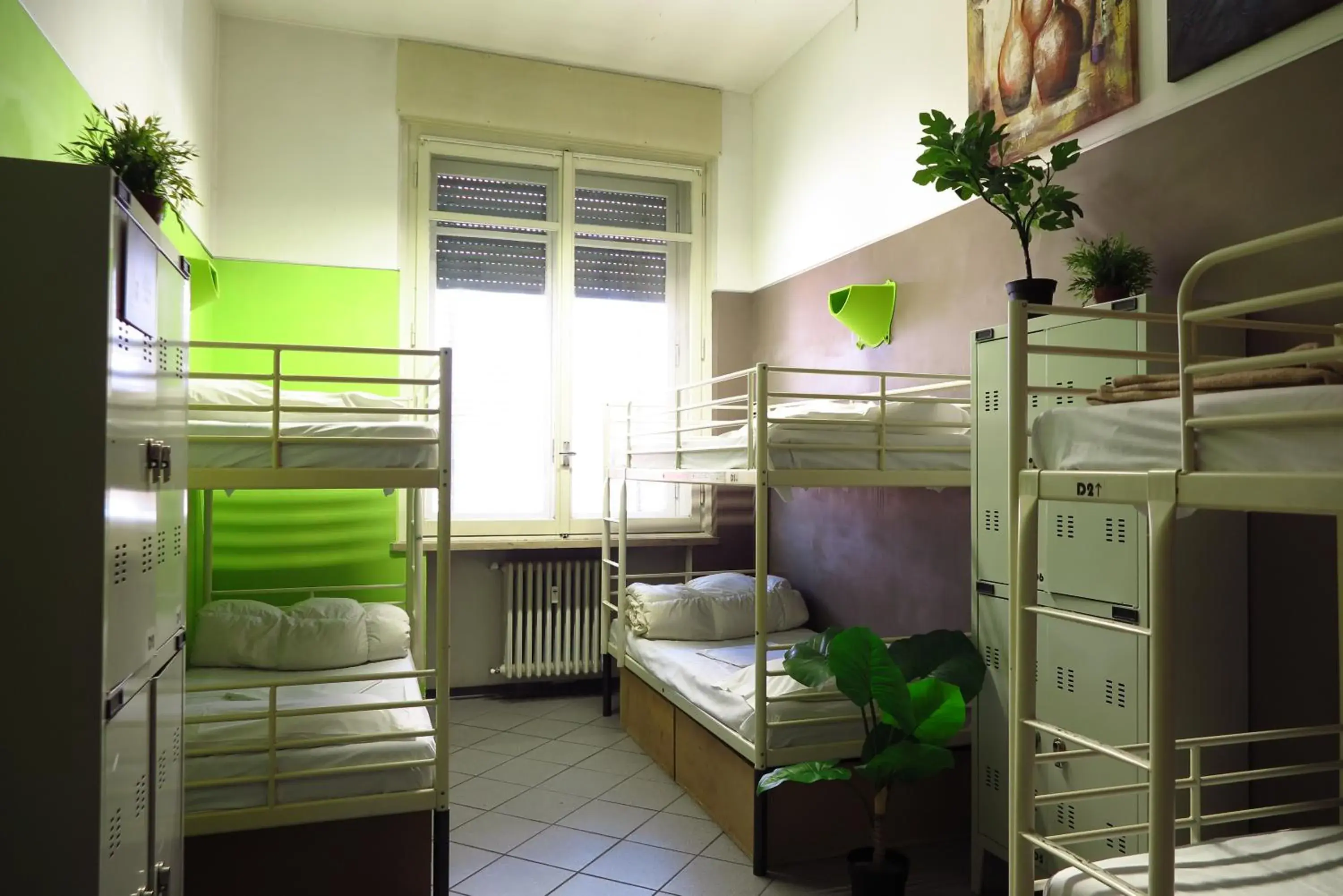 Bunk Bed in Koala Hostel