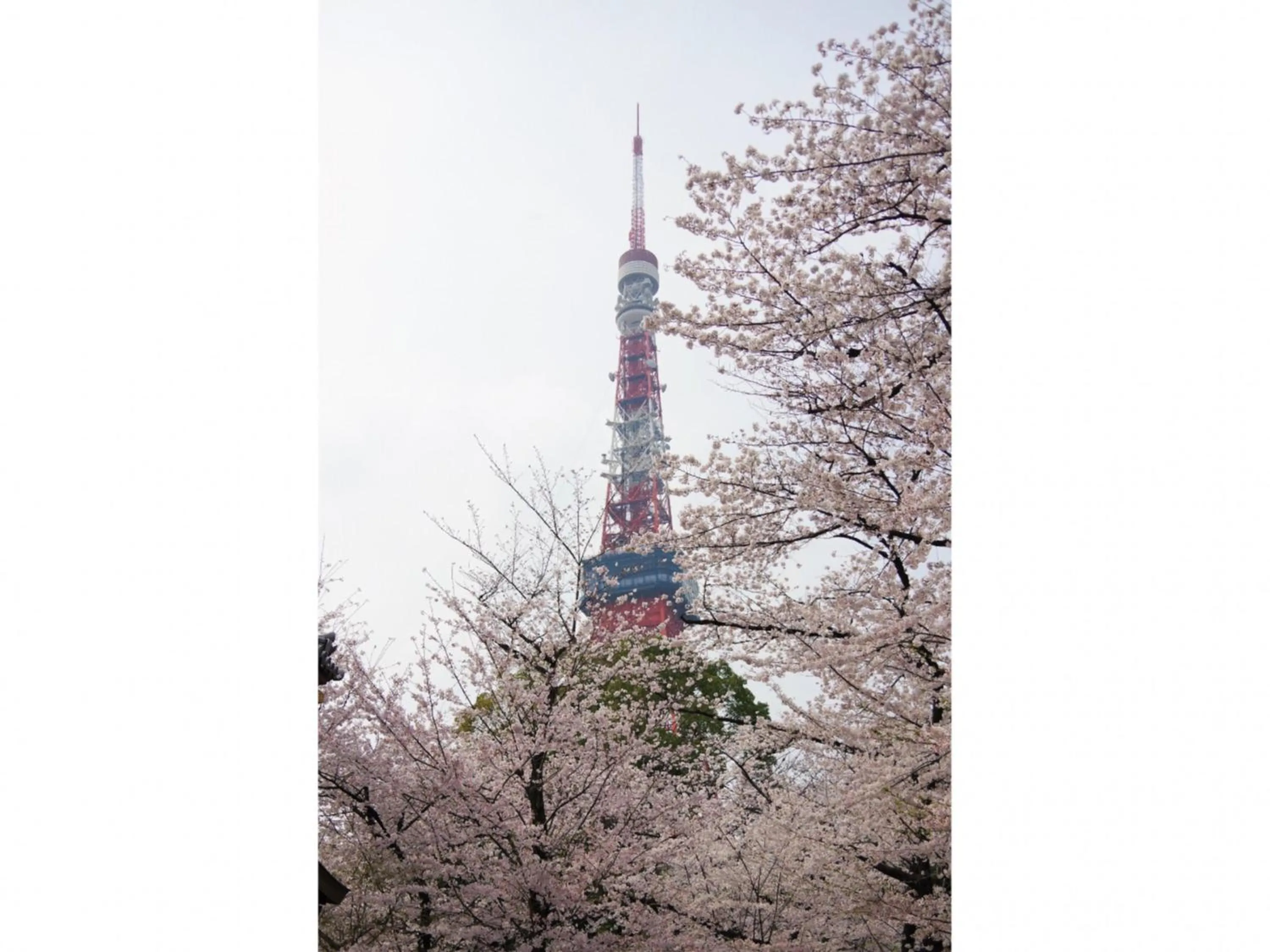 Nearby landmark in KOKO HOTEL Shimbashi Onarimon - formerly Hotel Wing International Shimbashi Onarimon