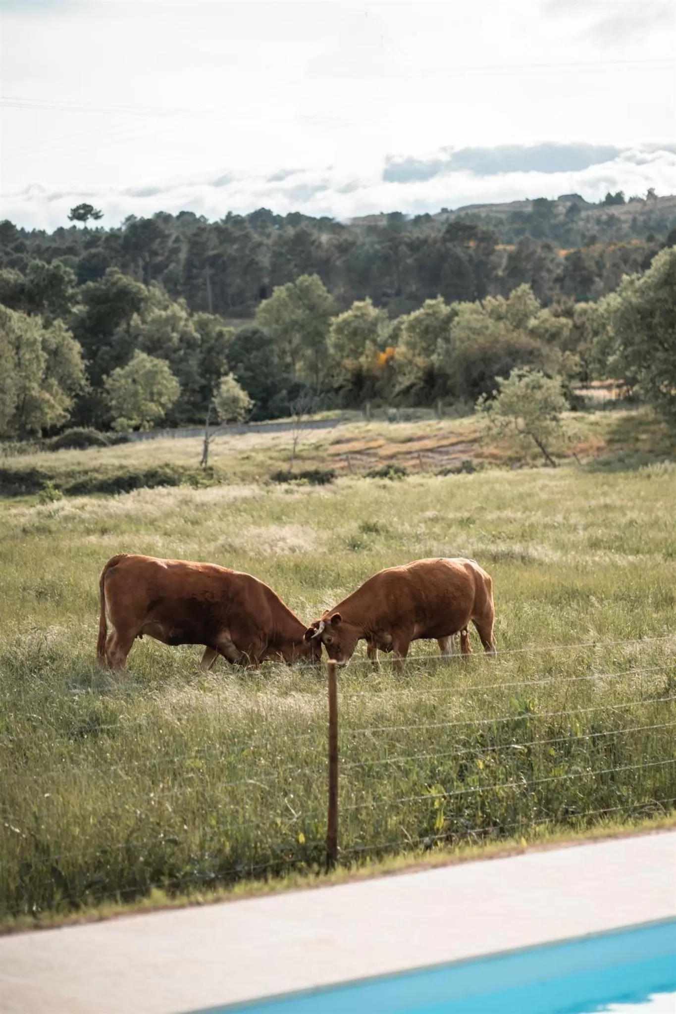 Quinta do Rio Noémi