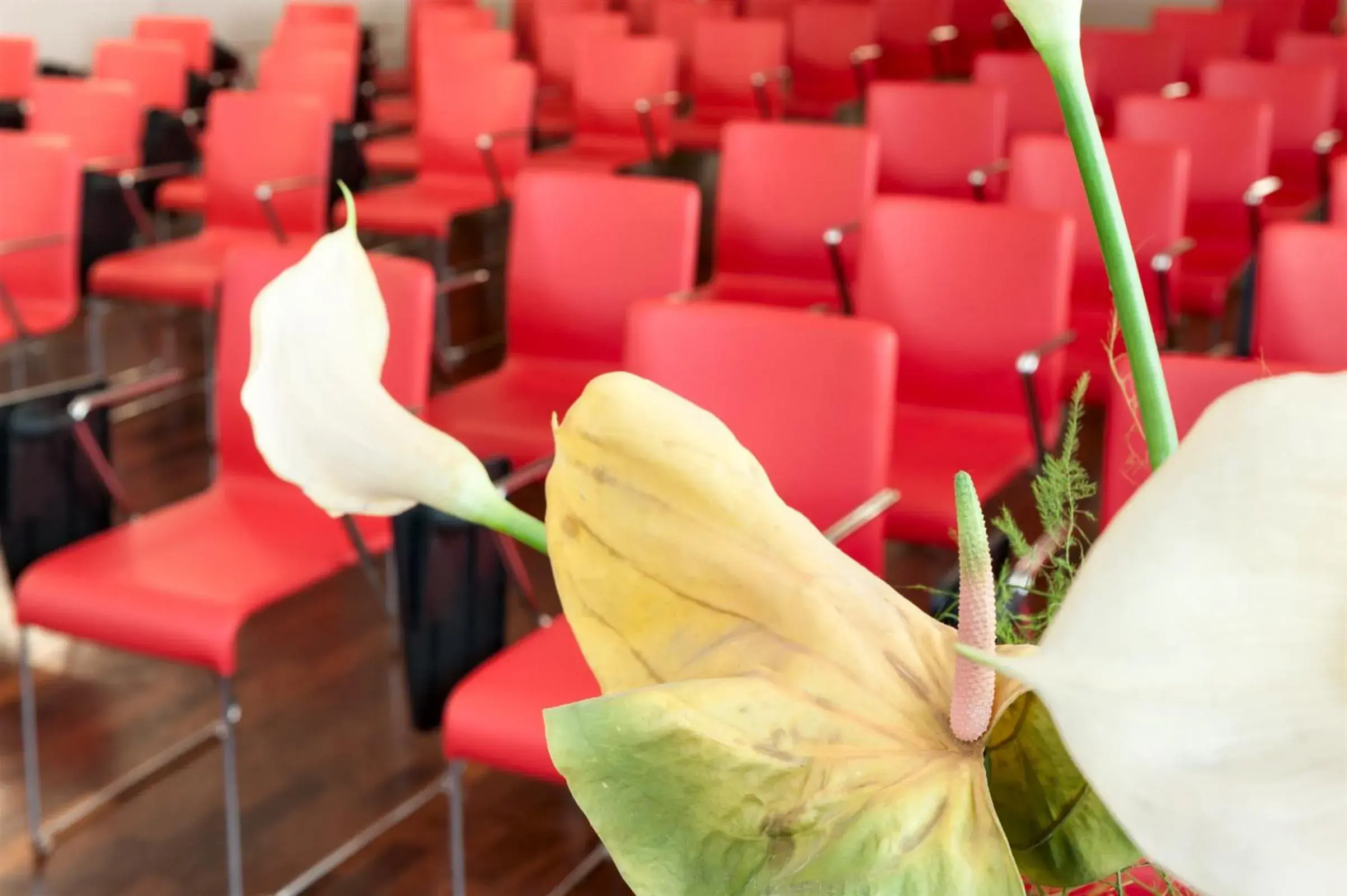 Meeting/conference room in Hotel Lombardia