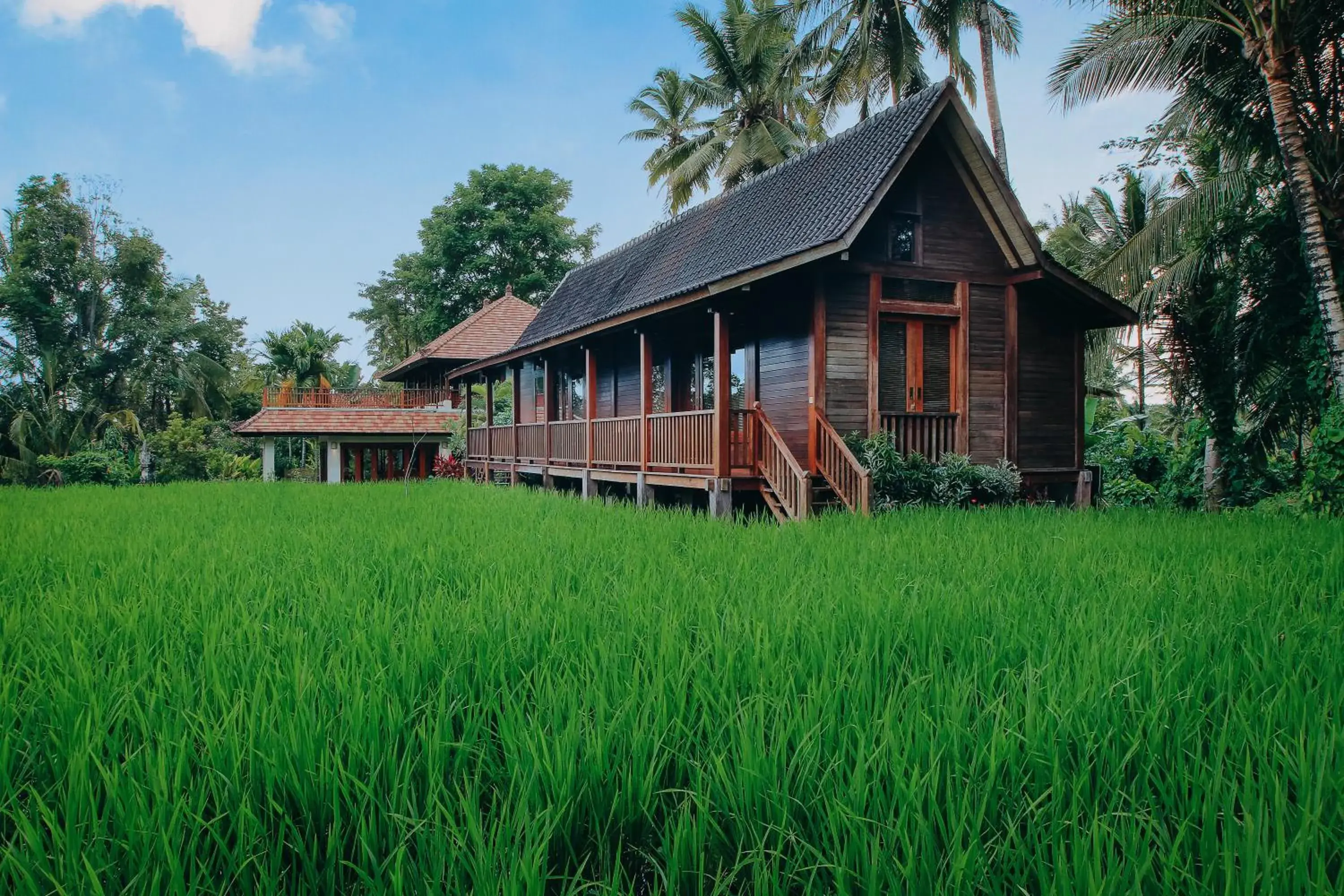 Property Building in BeingSattvaa Luxury Ubud - CHSE Certified