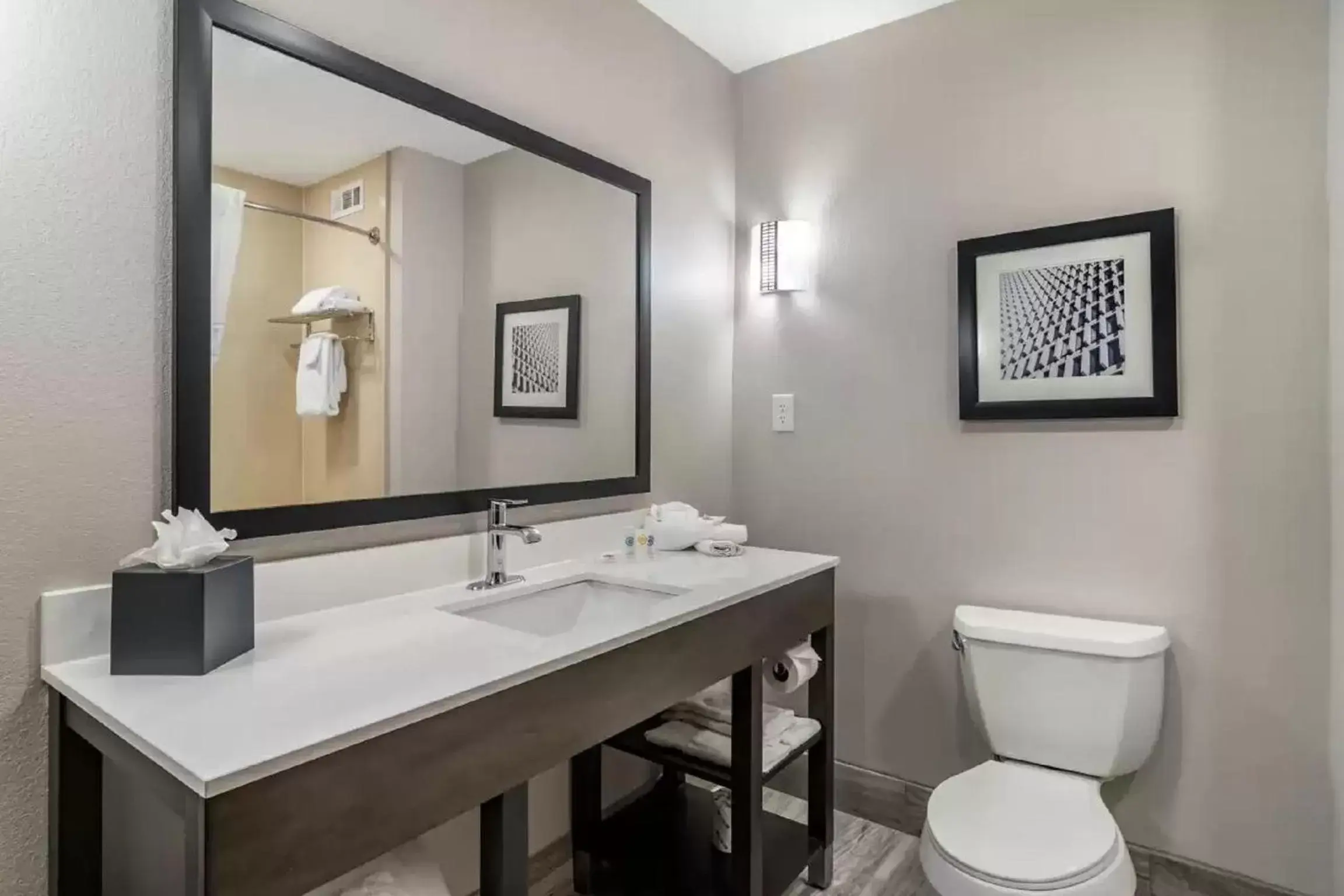 Toilet, Bathroom in Comfort Suites McDonough Atlanta South