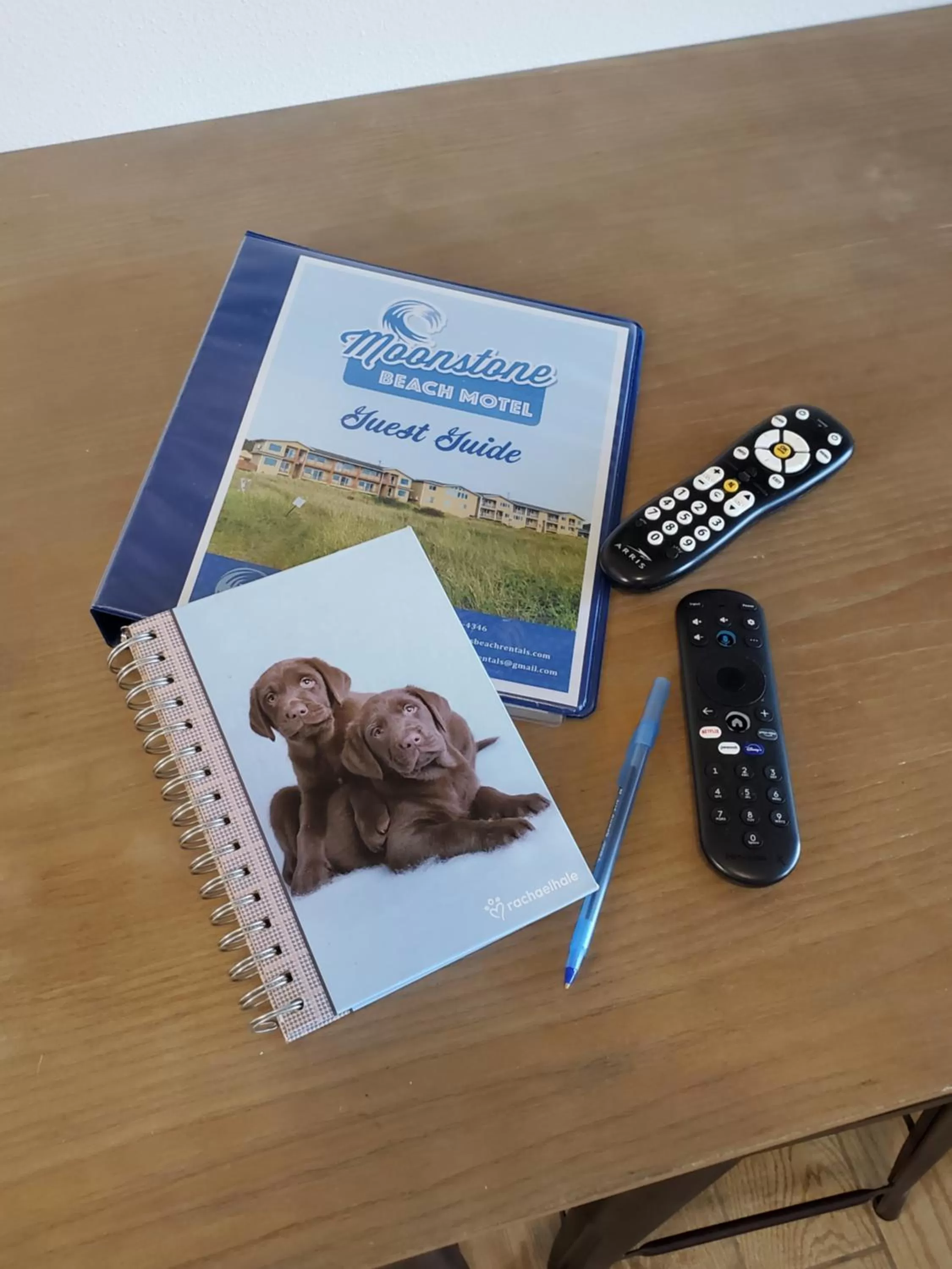 Pets in Moonstone Beach Motel