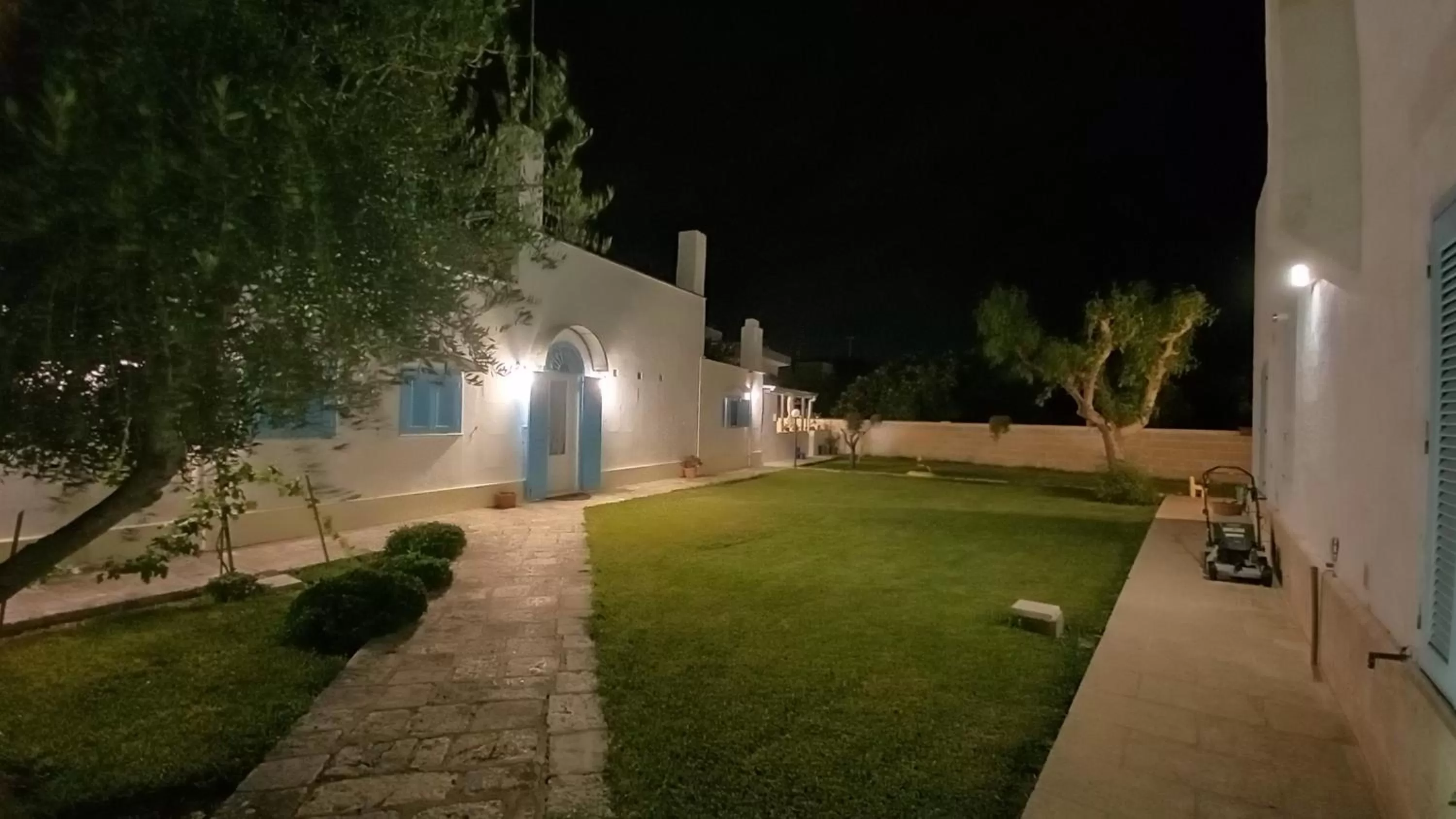 Garden in Tronchetto bianco