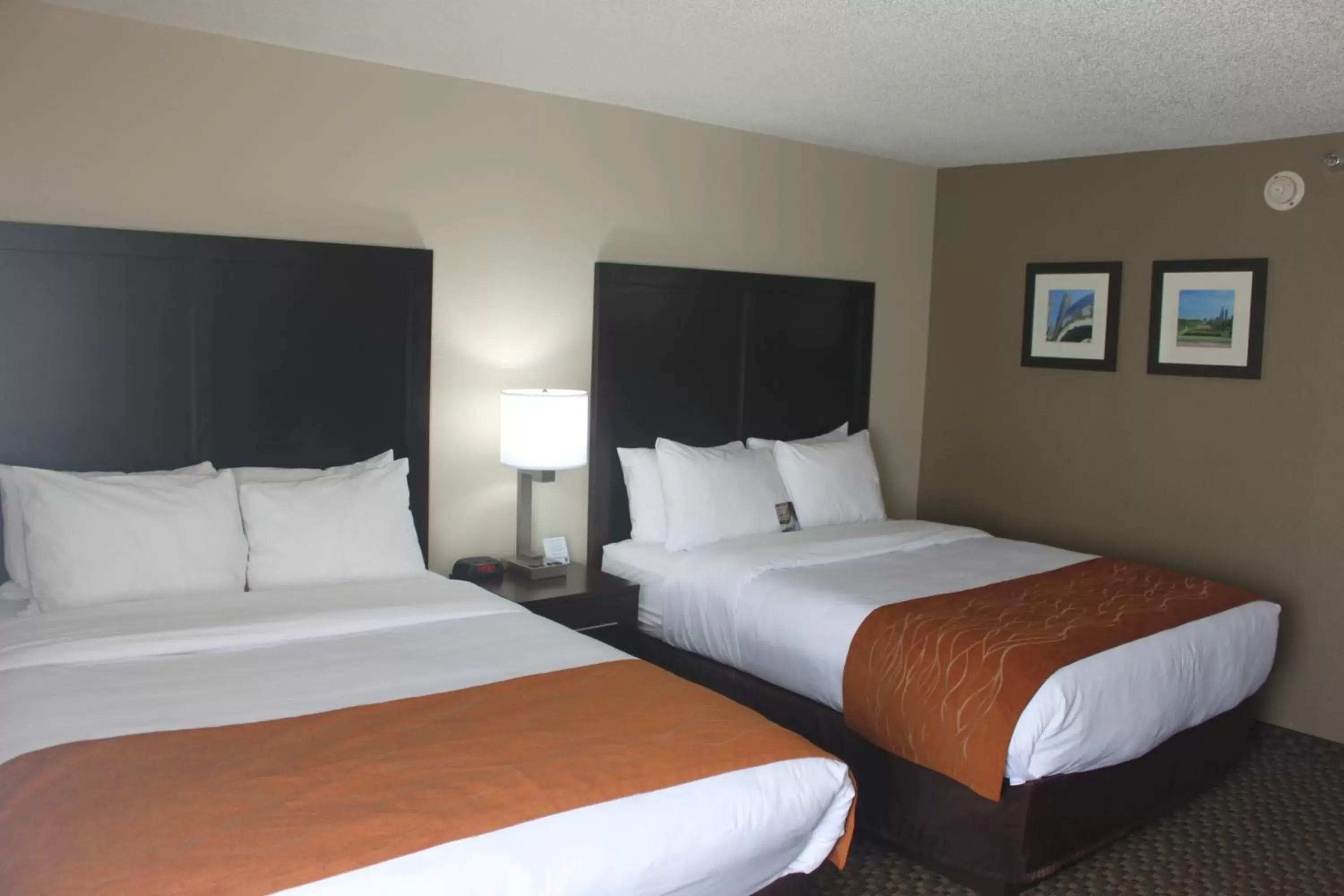 Queen Room with Two Queen Beds - Non-Smoking in Spark by Hilton Matteson Chicago I 57 Queen Room with Two Queen Beds - Non-Smoking in Spark by Hilton Matteson Chicago I 57