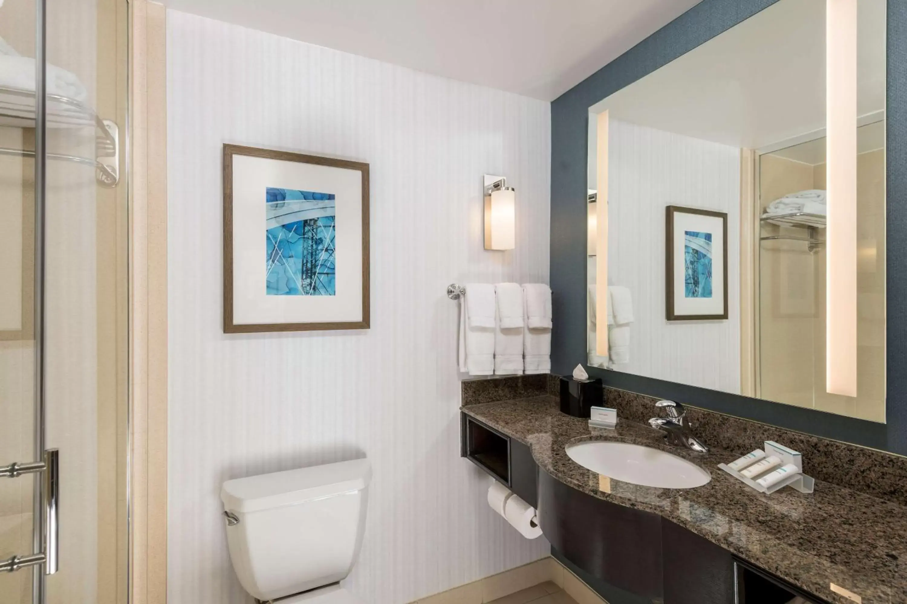 Bathroom in Hilton Garden Inn Silver Spring White Oak