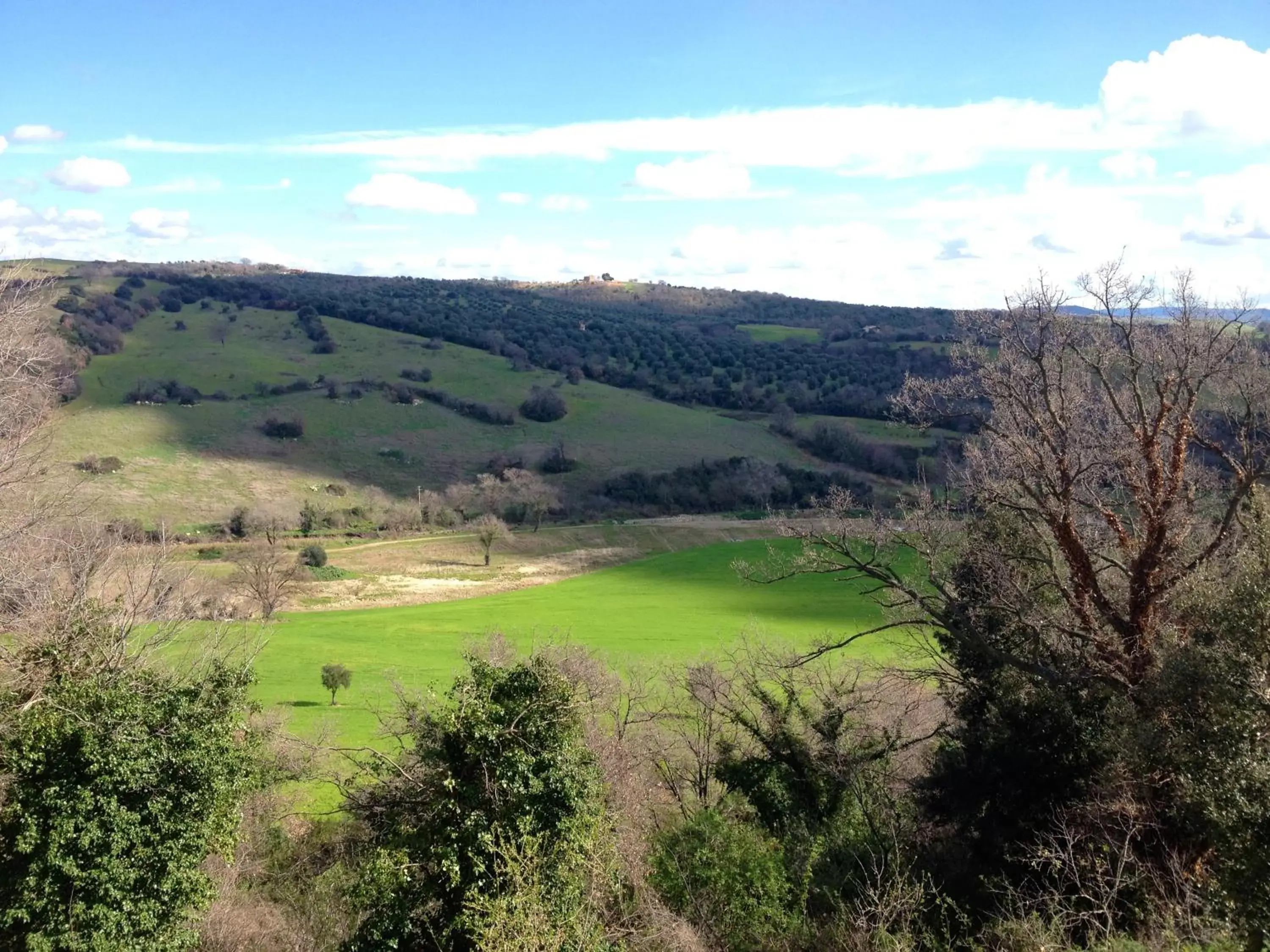 View (from property/room) in Le Tartarughe B&B