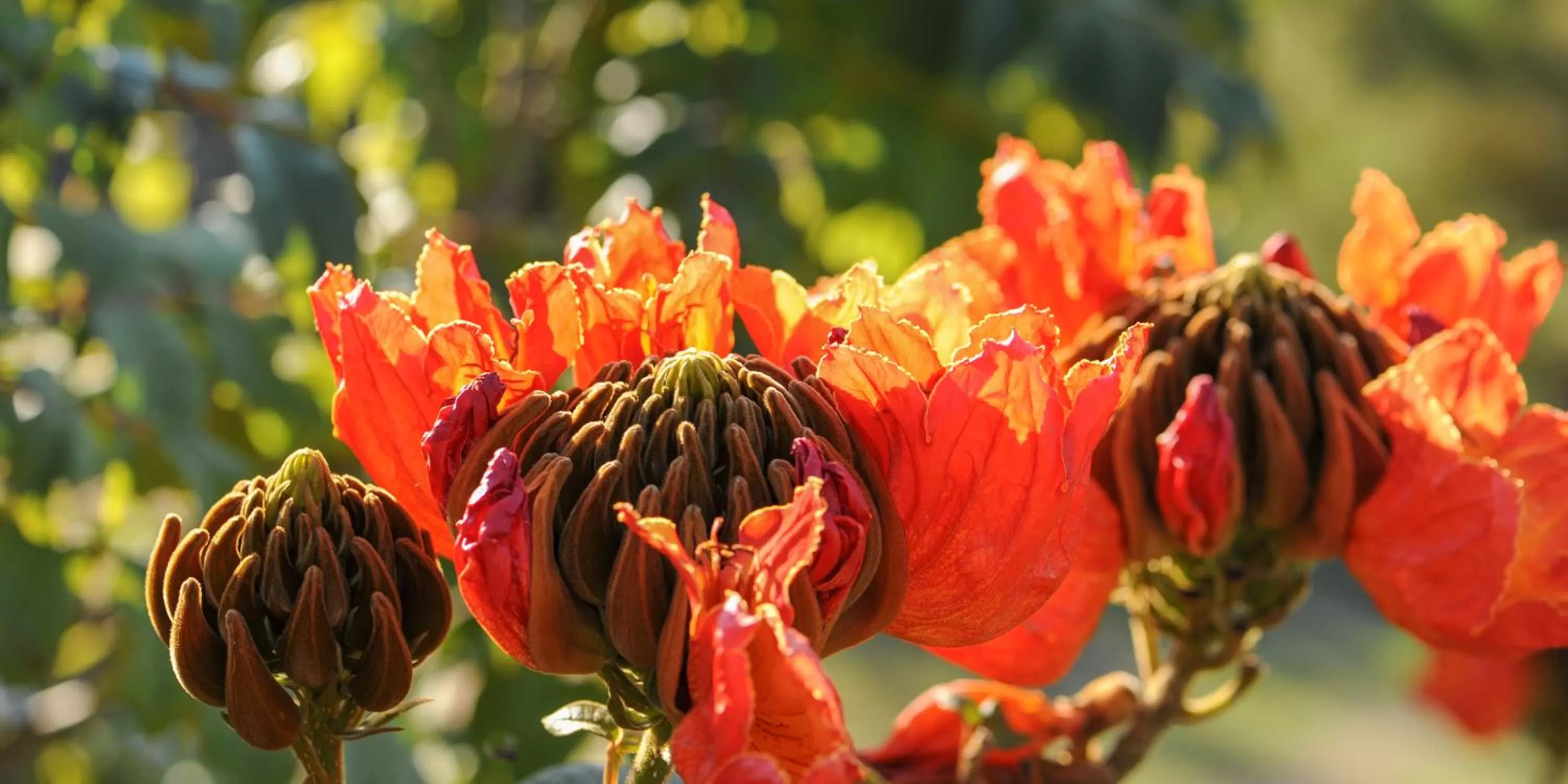 Other in Felissimo Exclusive Hotel