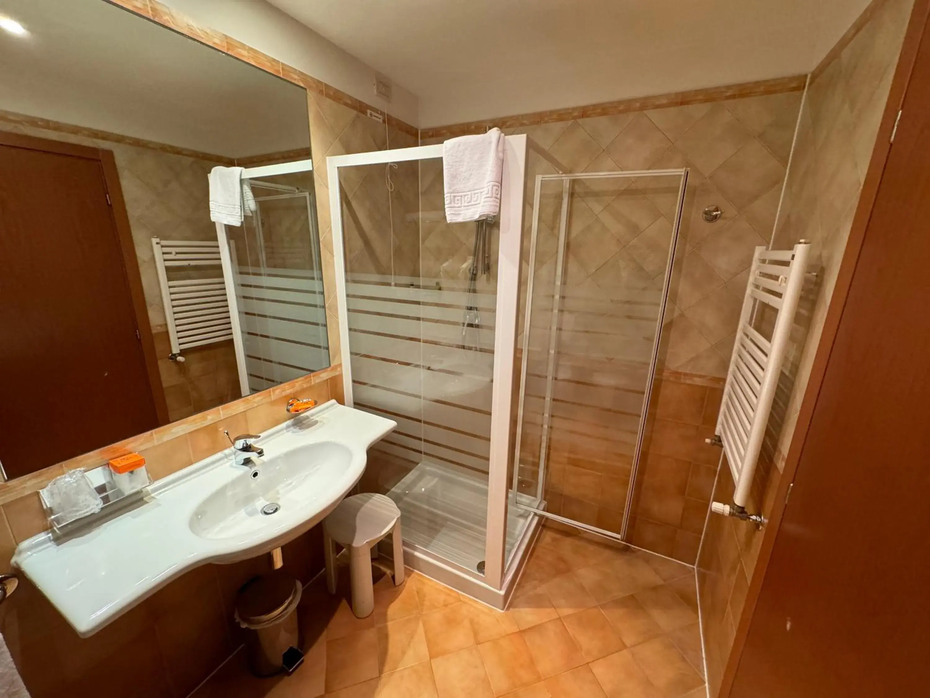 Shower, Bathroom in Euro Hotel