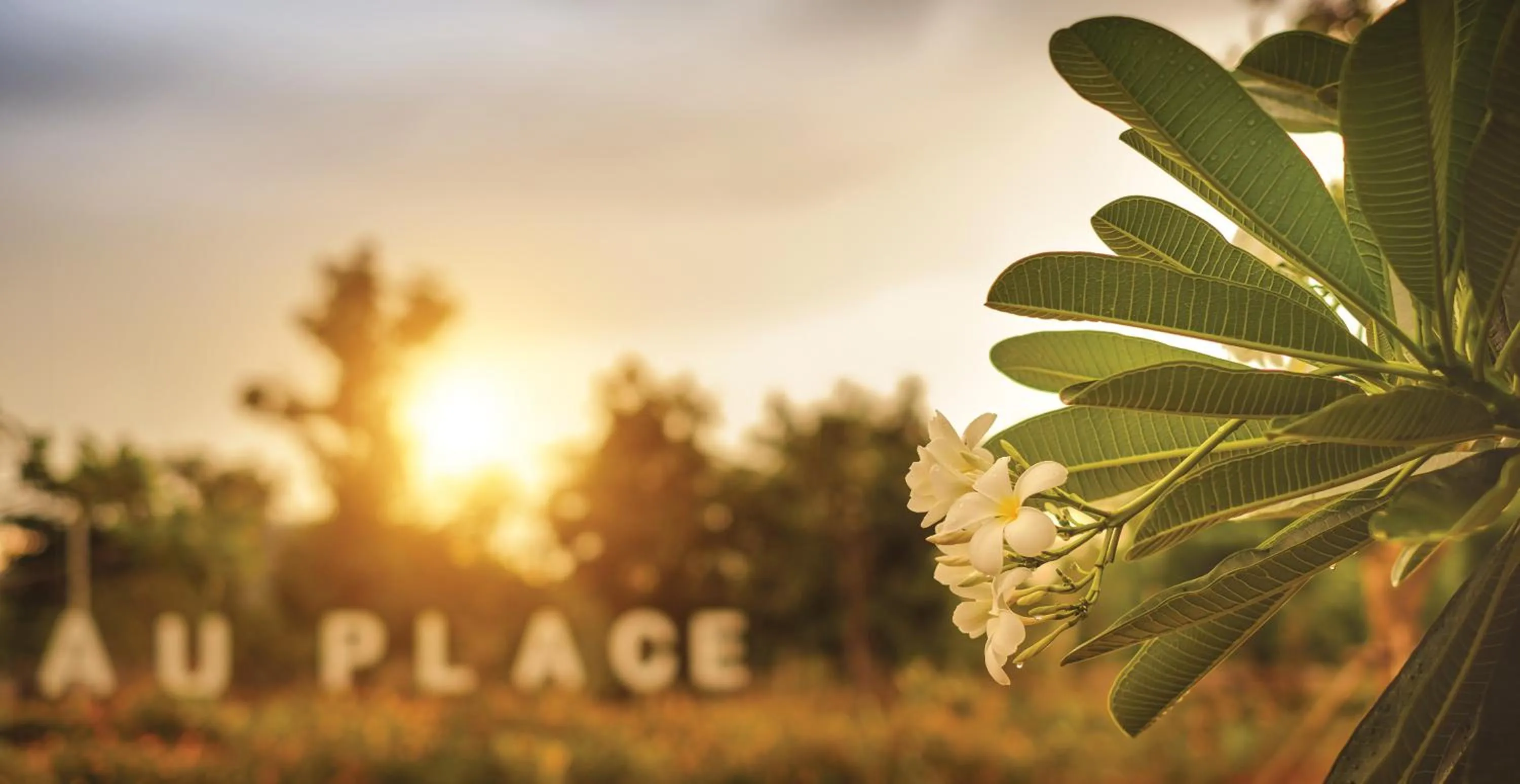 Day in AU Place Hotel