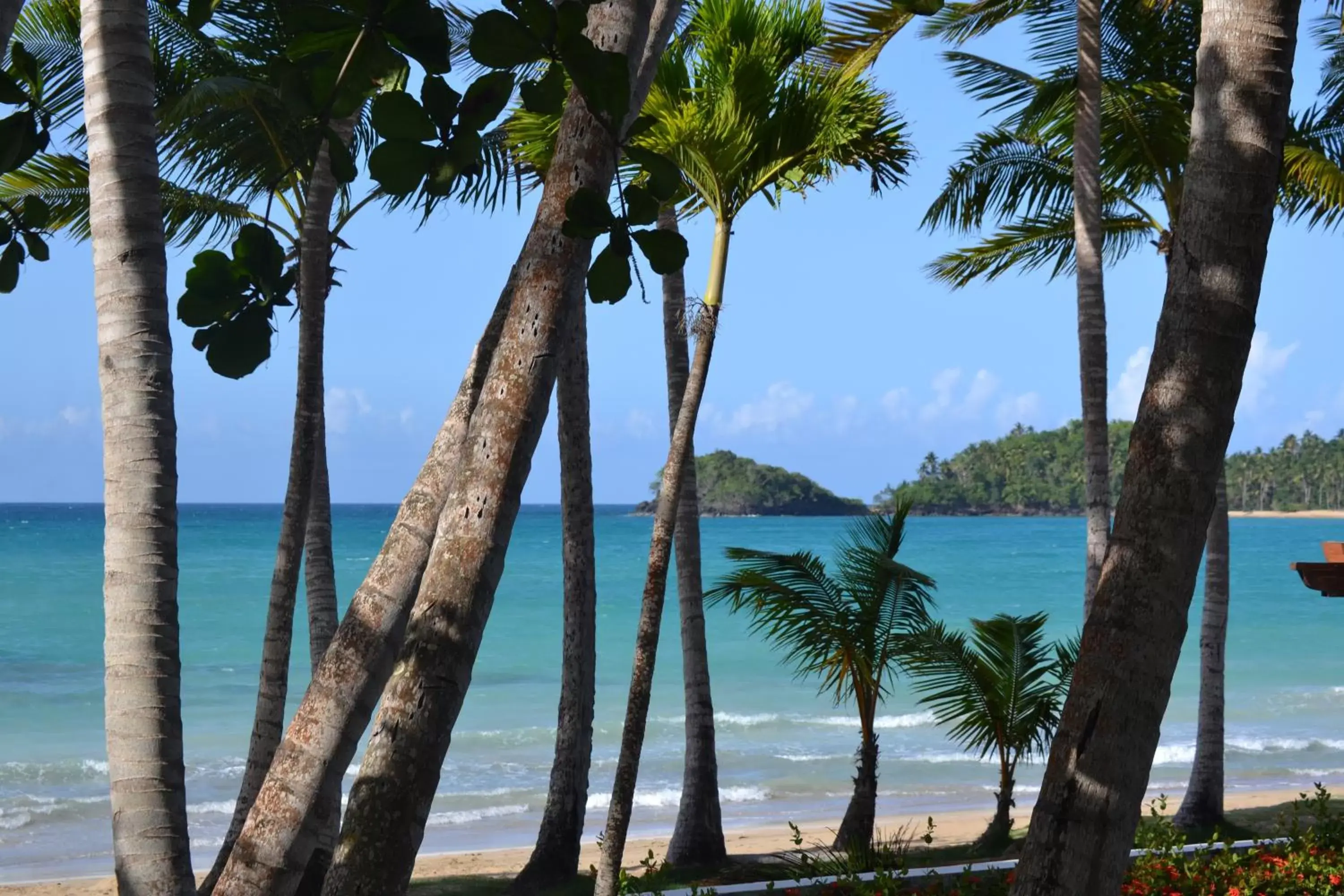 Beach, Sea View in Atlantis Hotel