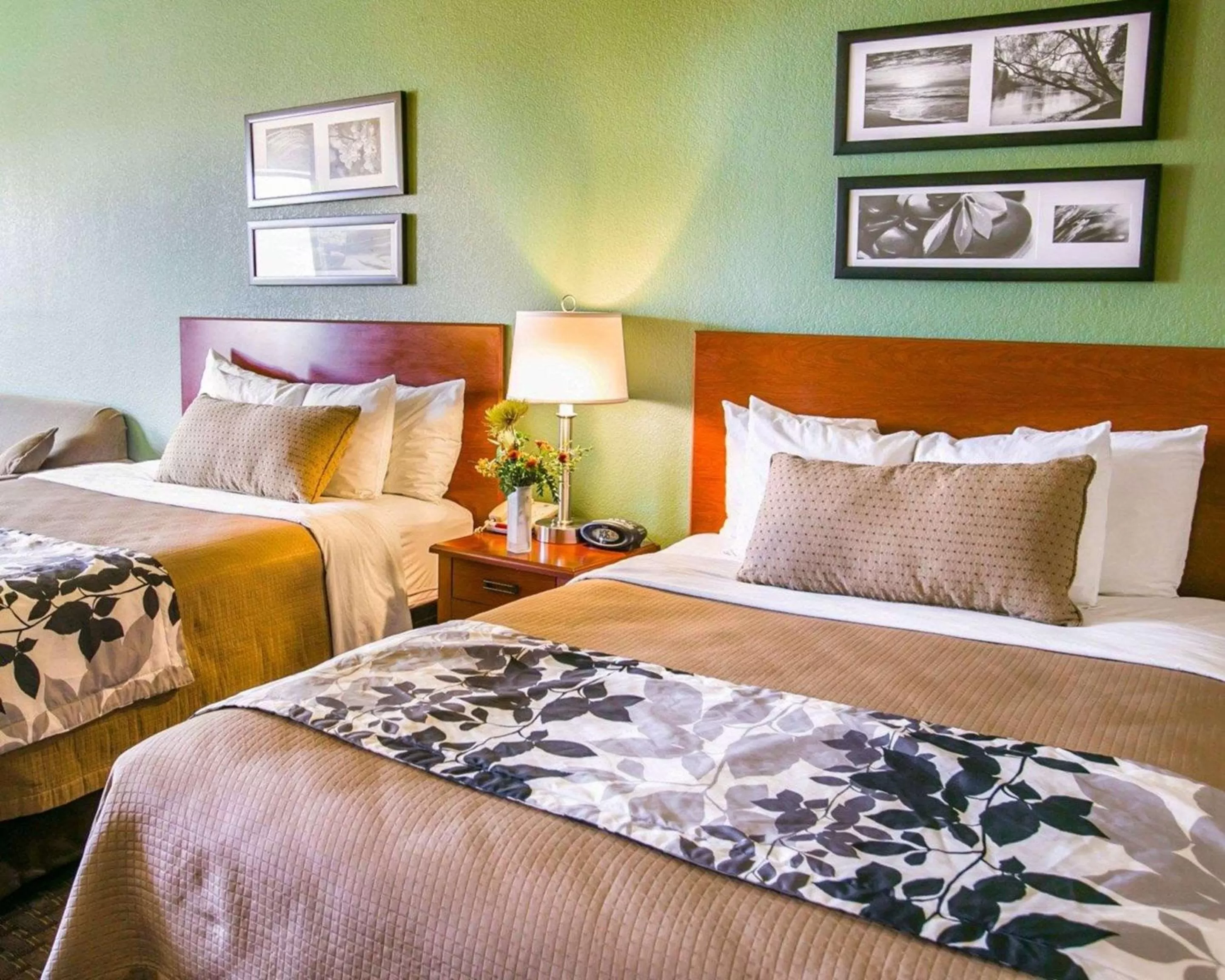 Photo of the whole room, Bed in Sleep Inn & Suites Gonzales near Palmetto State Park