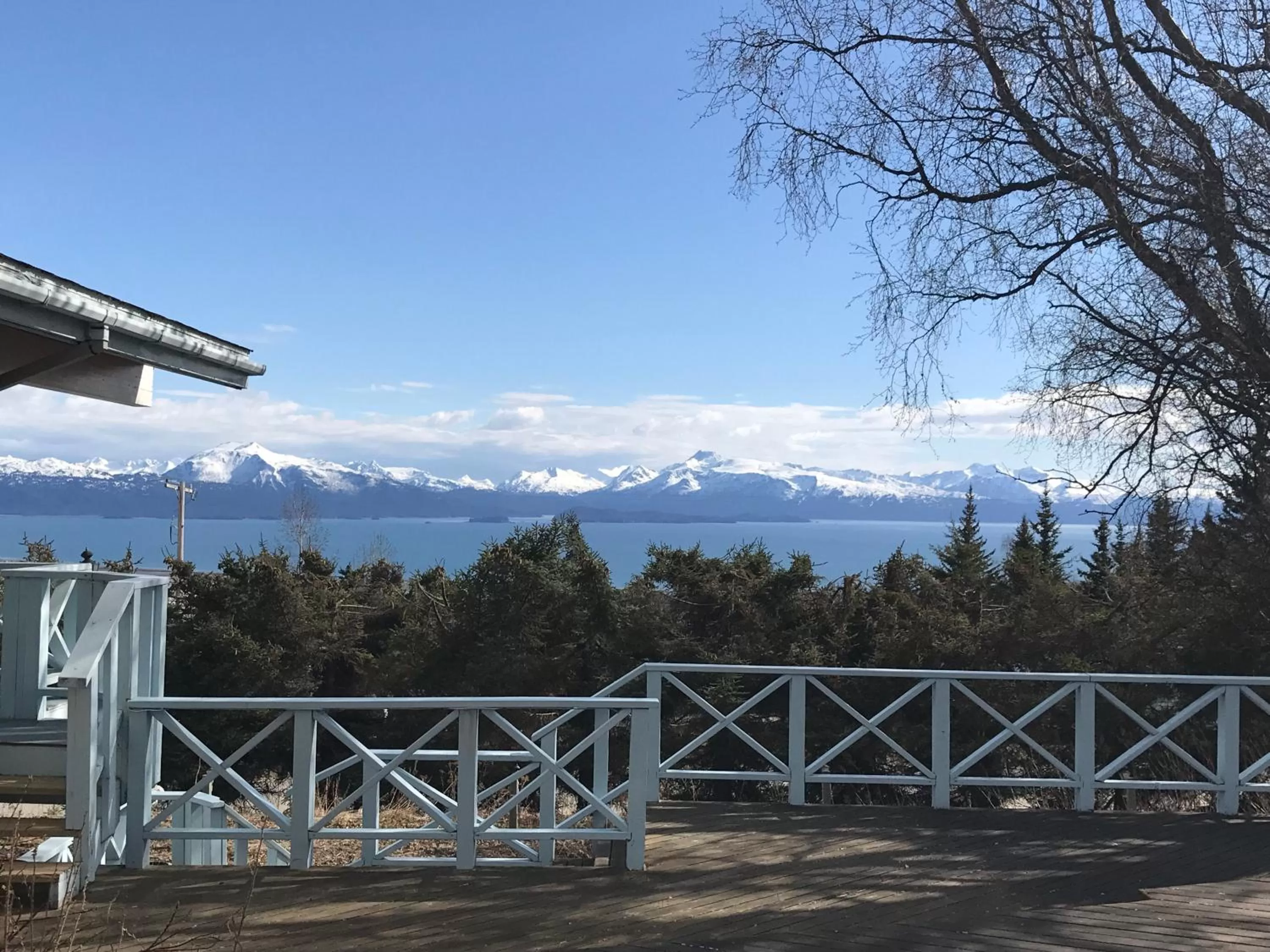 Halcyon Heights B&B/Inn