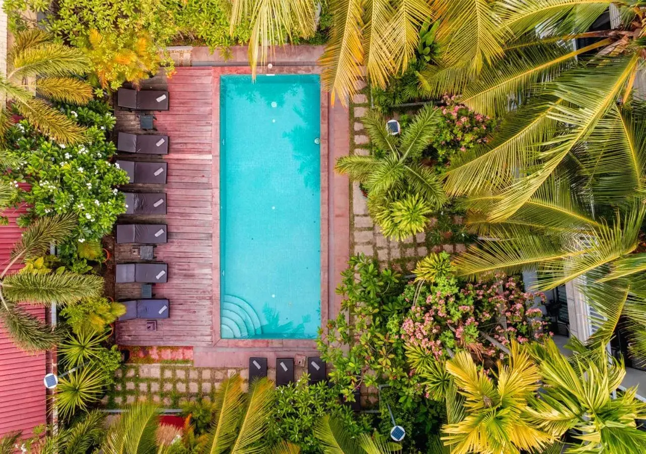 Swimming pool, Pool View in Ladear Privilege Rooms