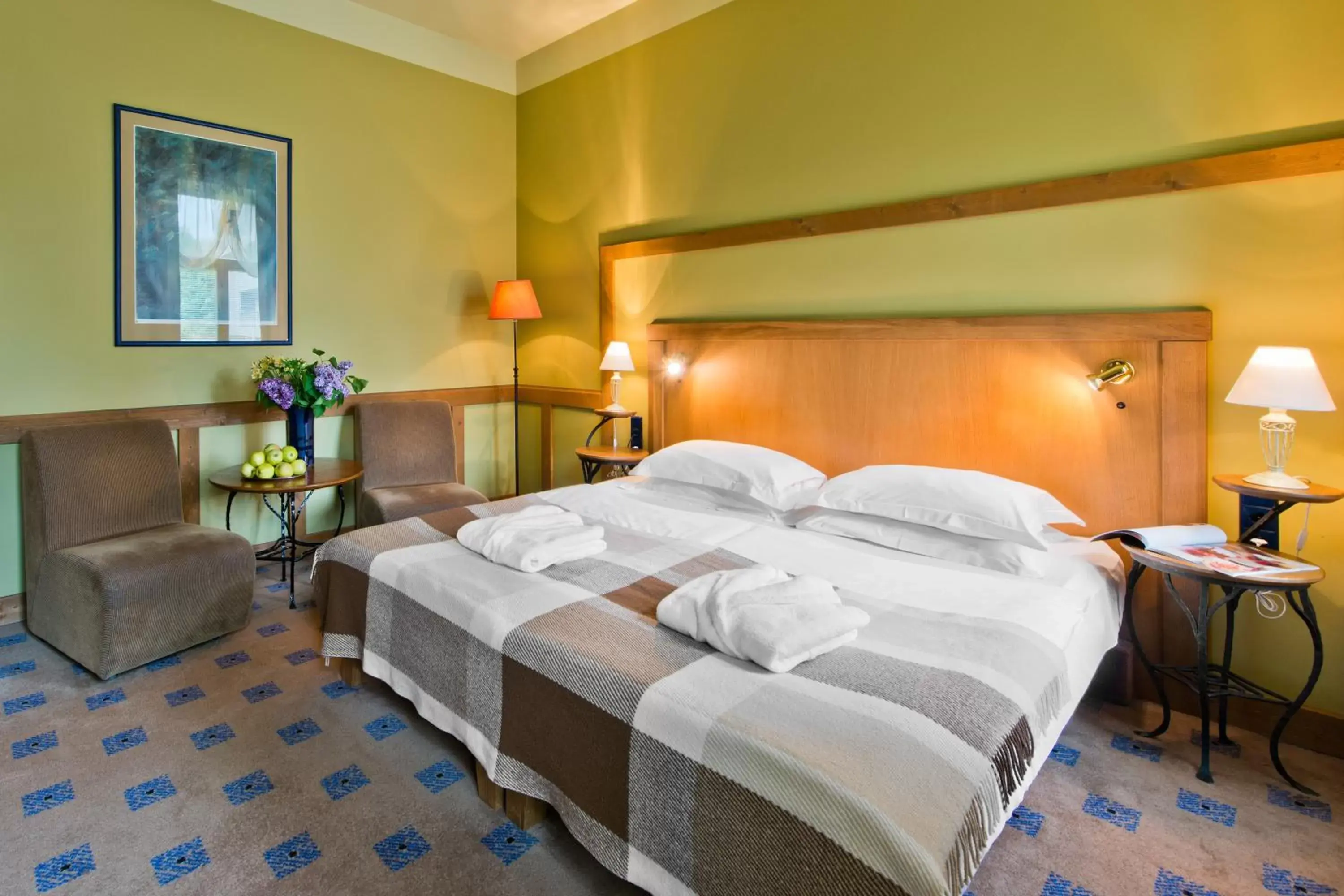 Single Room with Sauna and Jacuzzi access in BEST BALTIC Hotel Druskininkai Central Single Room with Sauna and Jacuzzi access in BEST BALTIC Hotel Druskininkai Central