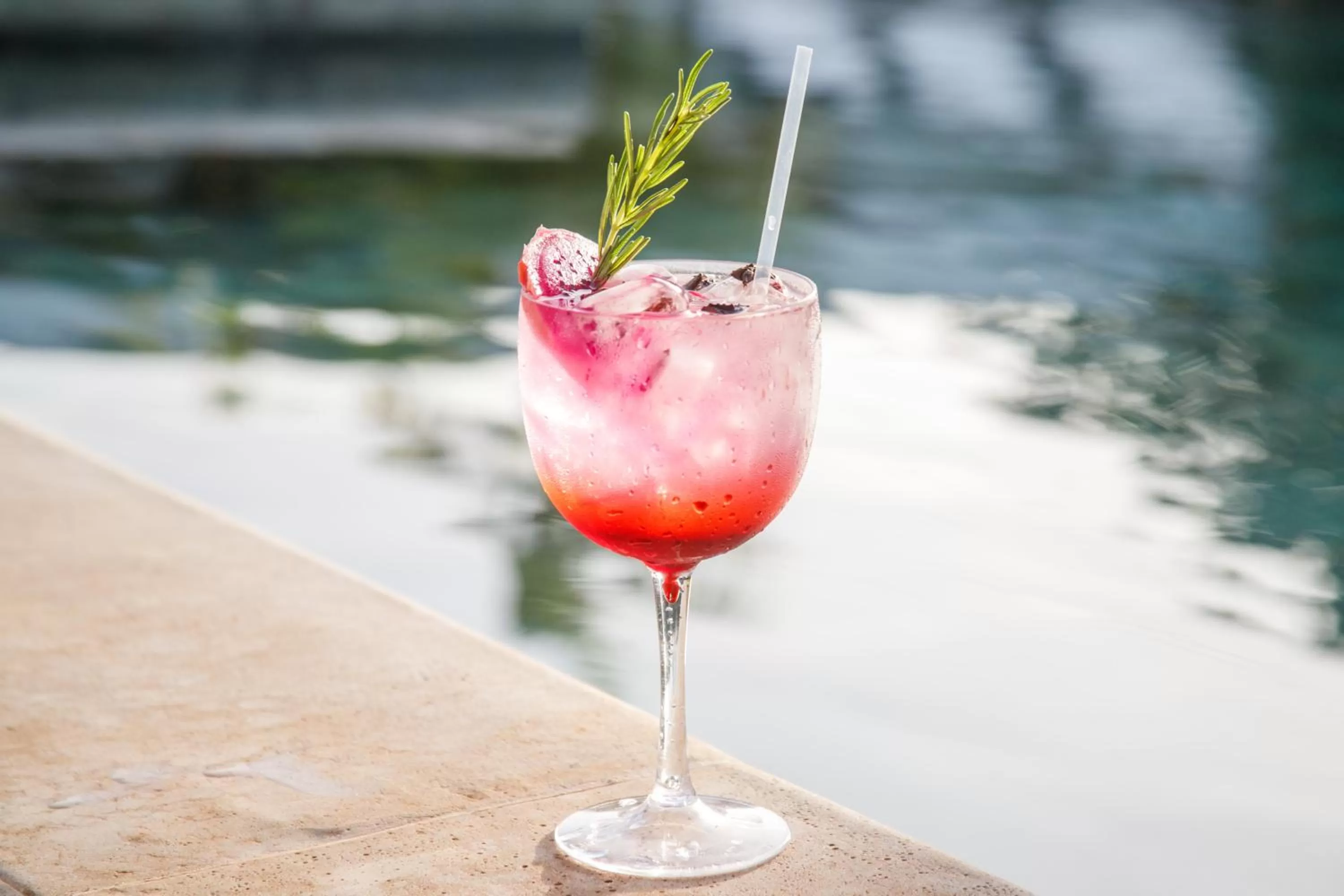 Lounge or bar in Portofino Pousada