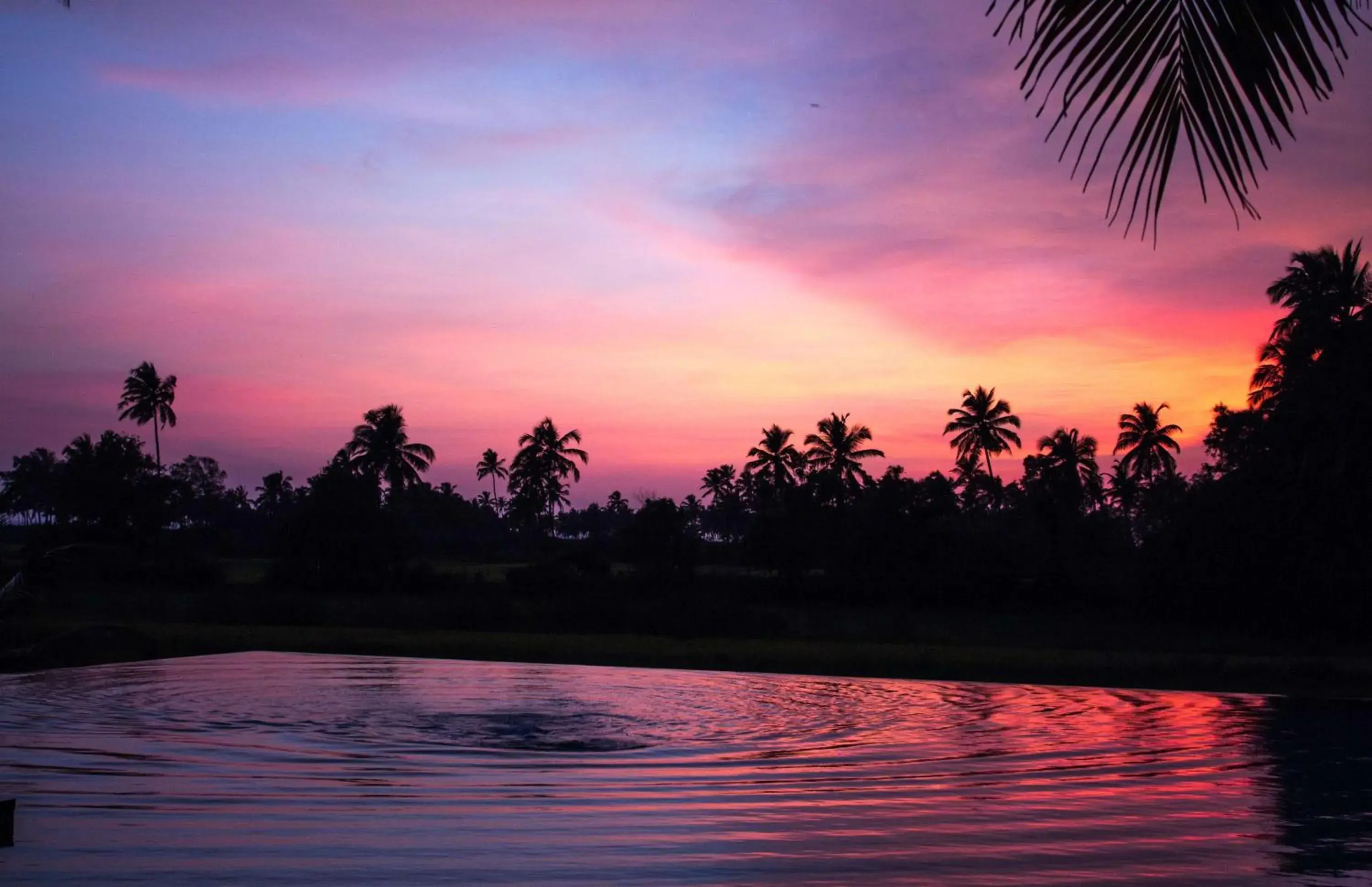 Pool view in Alila Diwa Goa - A Hyatt Brand