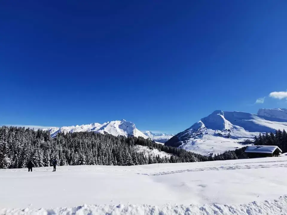 Skiing, Winter in Auberge Du Fraizier