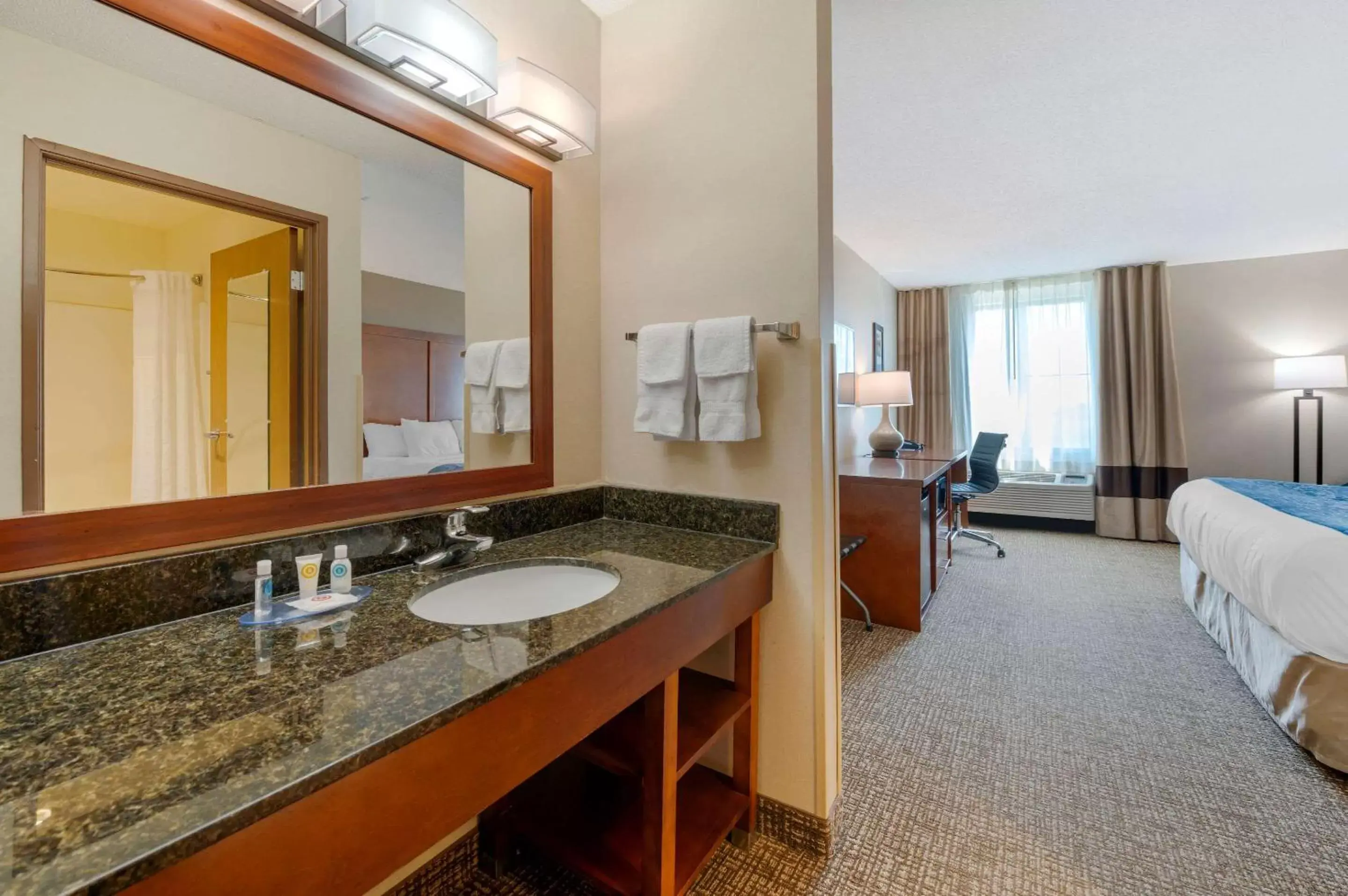 Photo of the whole room, Bathroom in Comfort Inn Anderson South