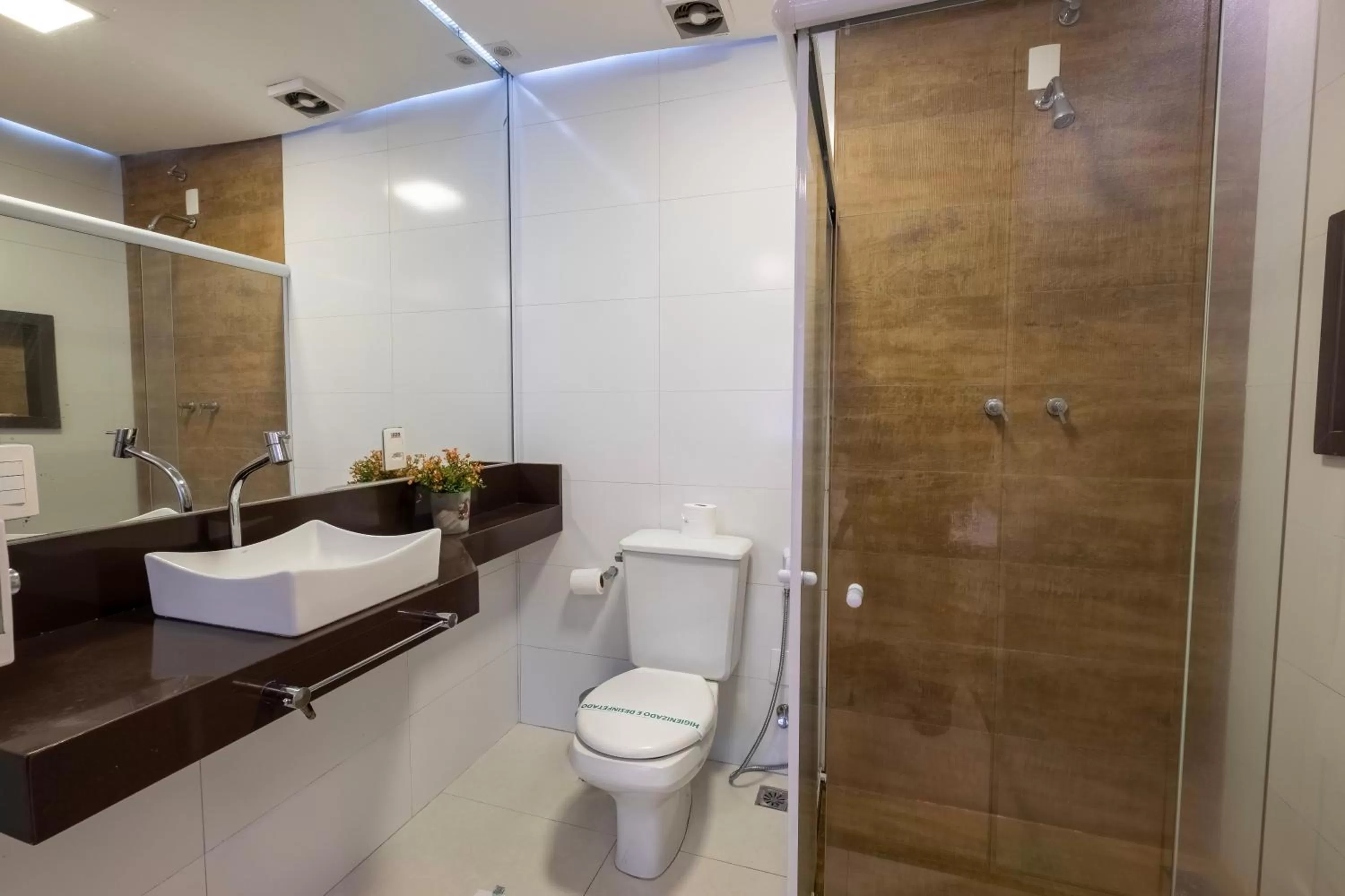 Bathroom in Hotel Mount Everest