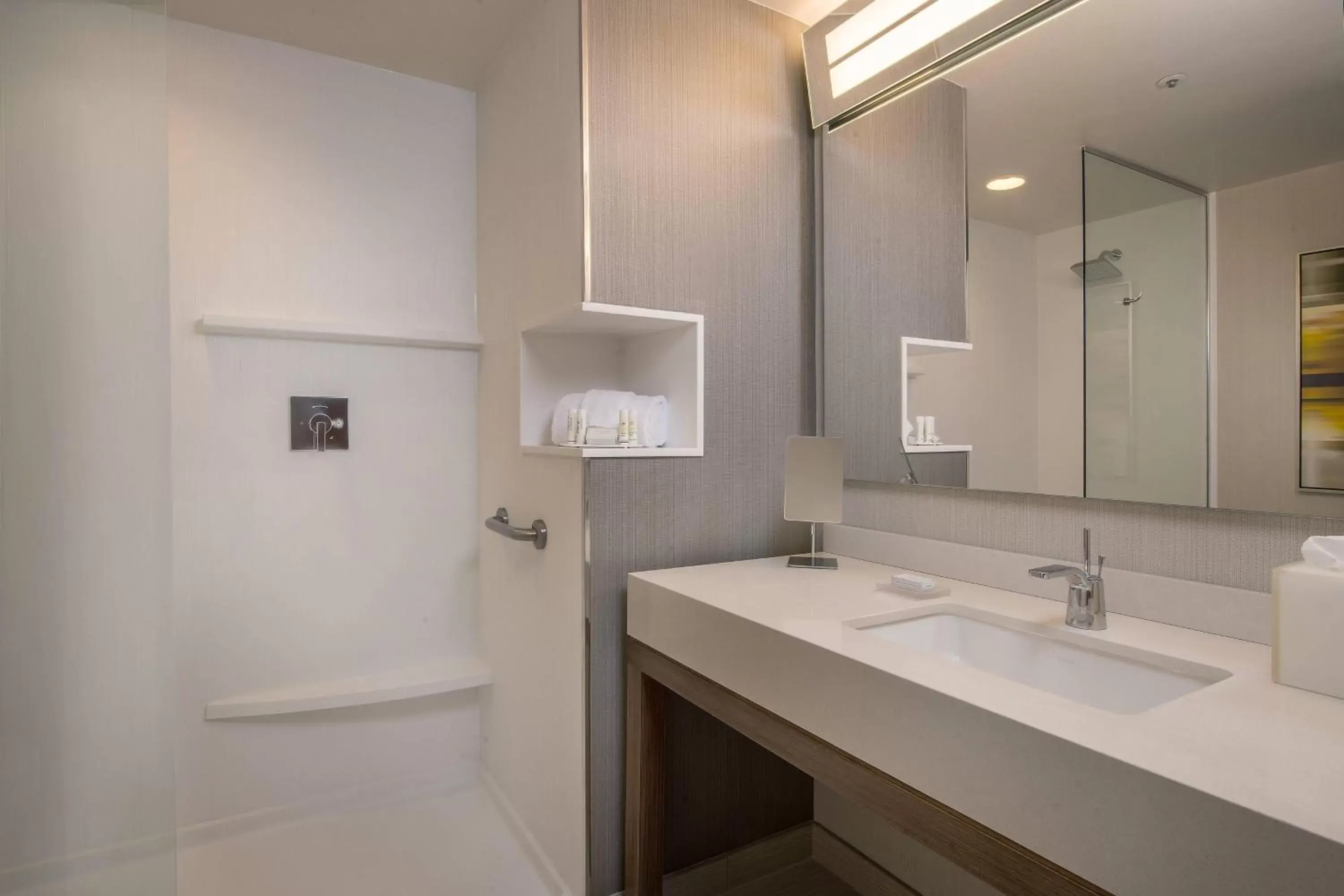 Bathroom in Courtyard by Marriott Mexicali