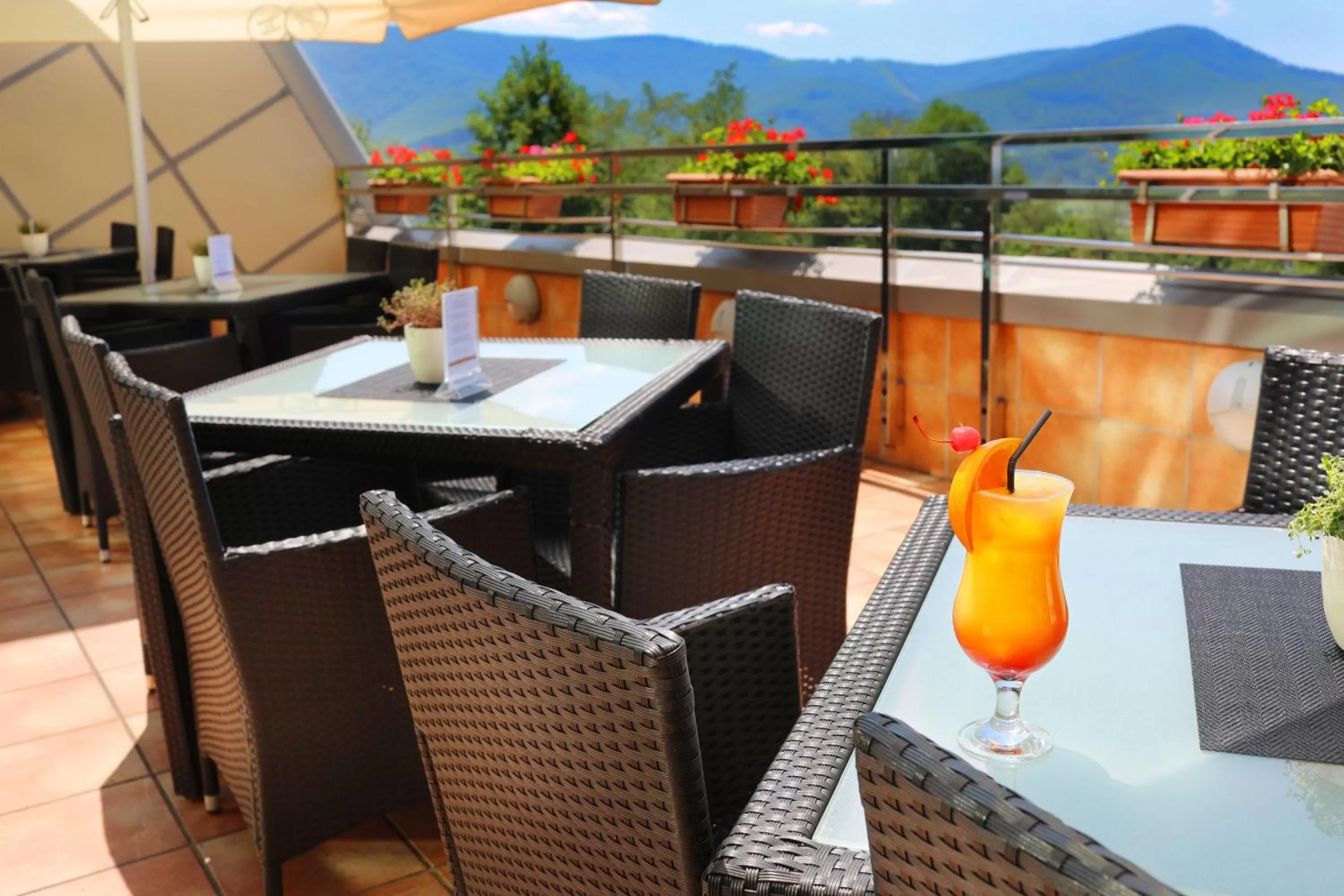 Restaurant/places to eat in Hotel Belweder