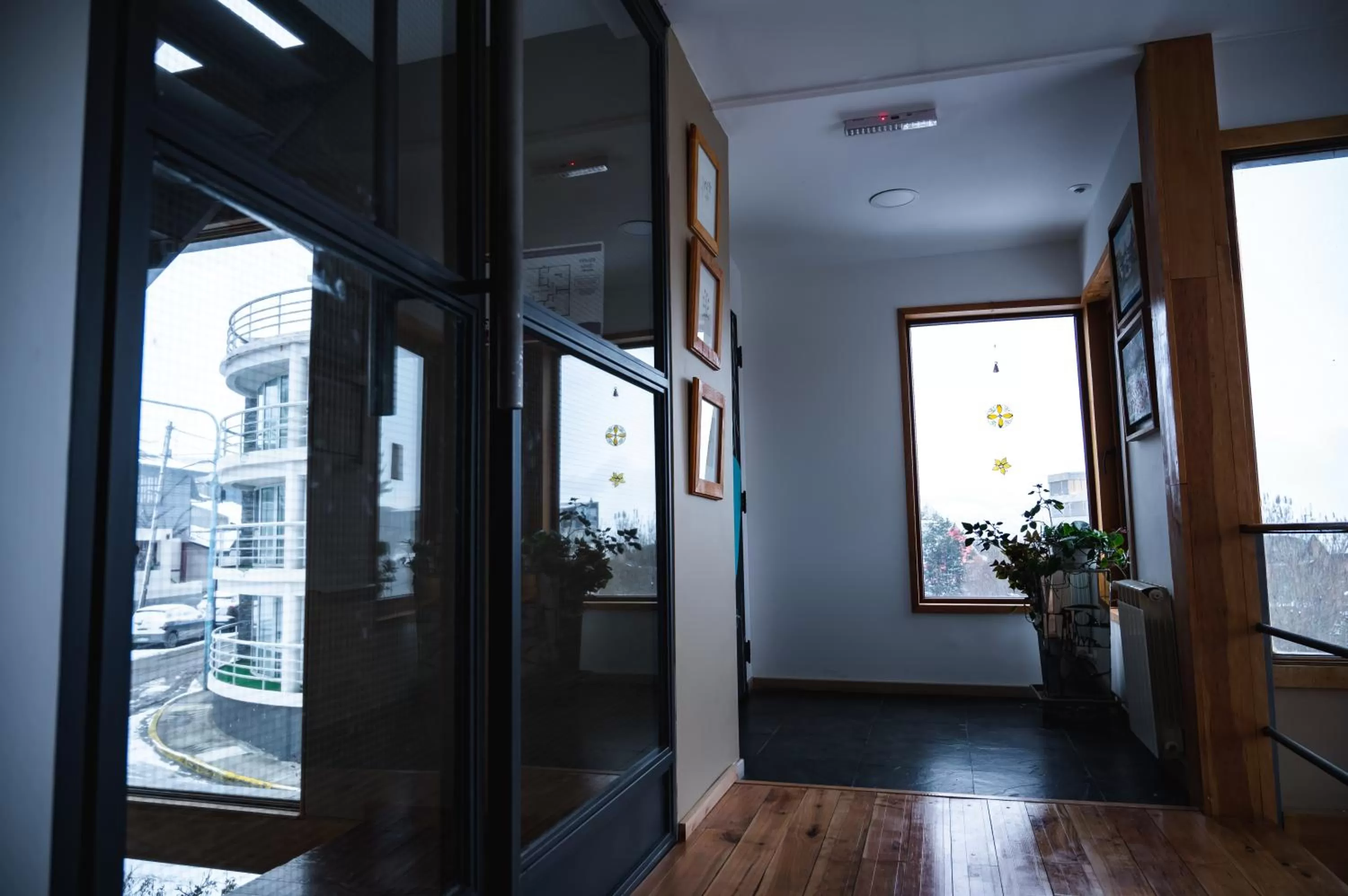 Area and facilities in Hosteria Foike