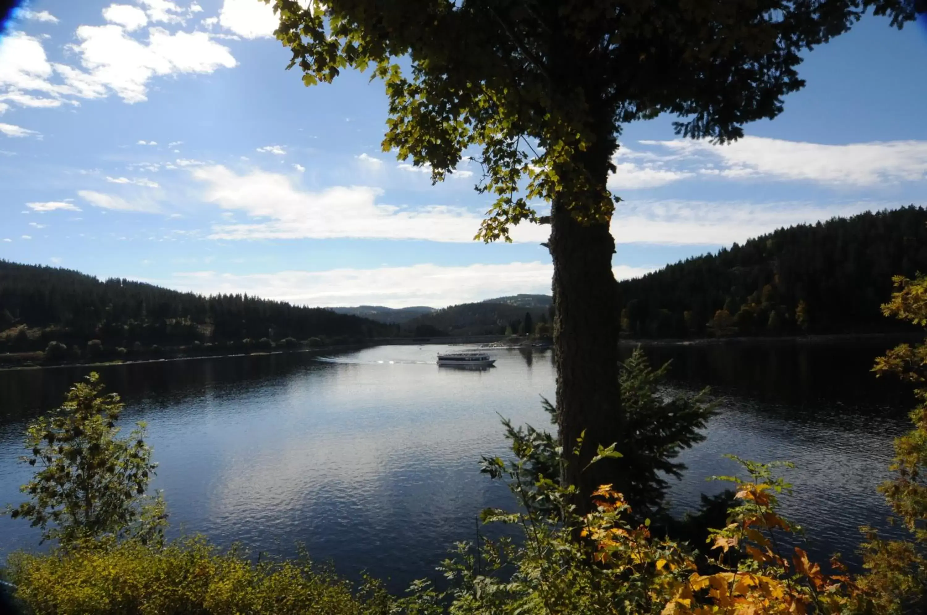 Natural landscape, River View in Seehotel Hubertus