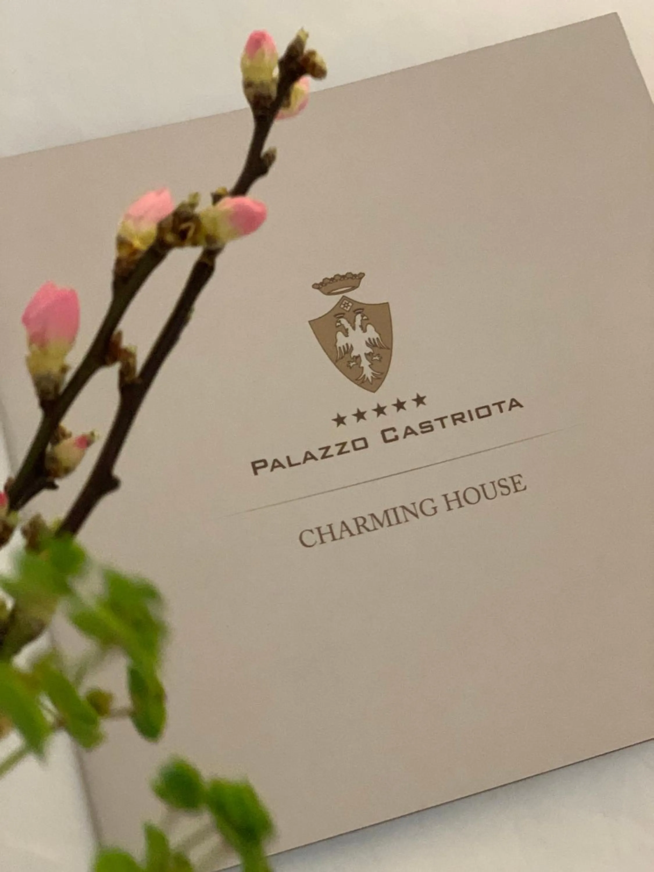 Property logo or sign in Palazzo Castriota