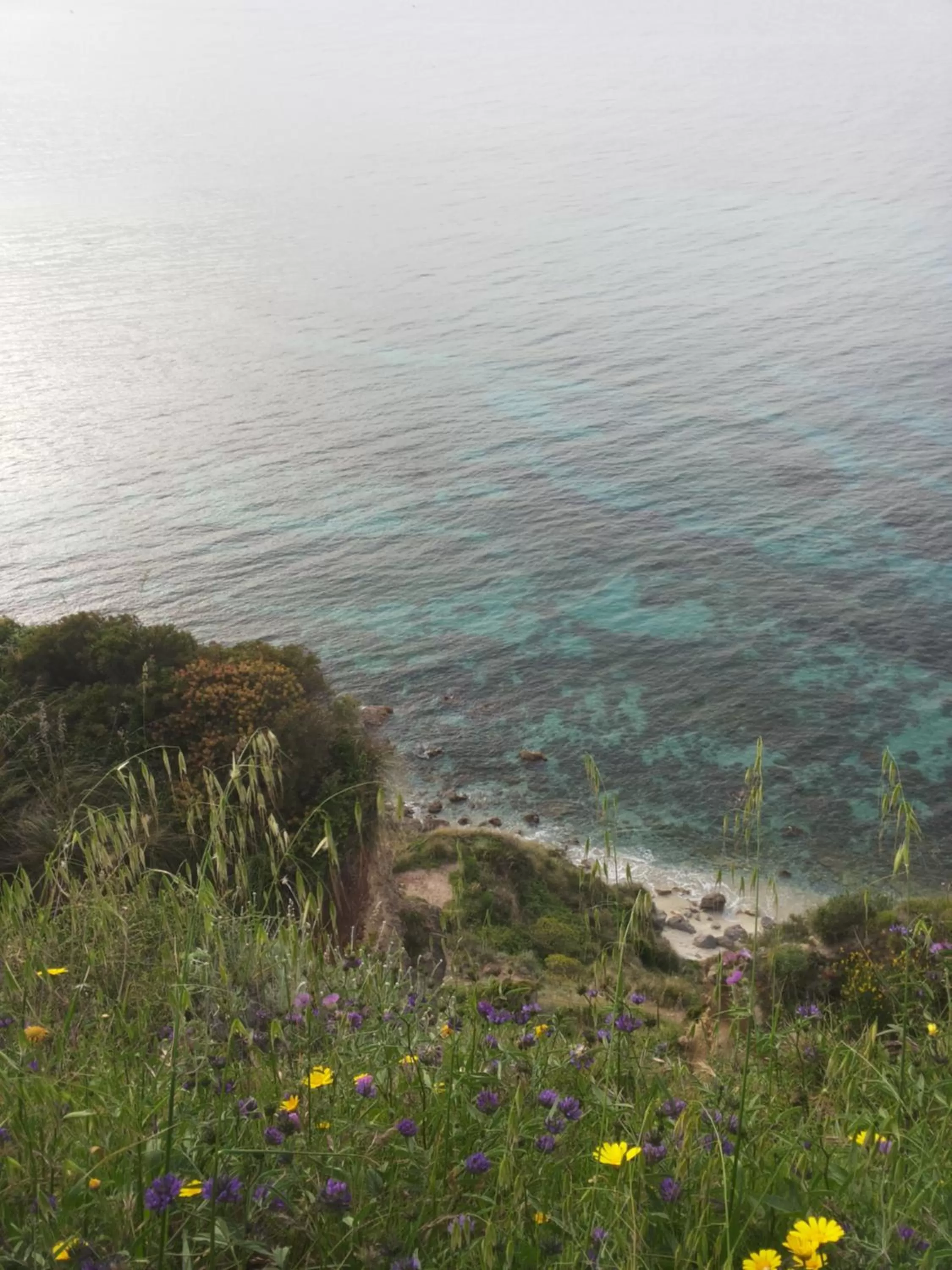 On site in Hotel Alexander