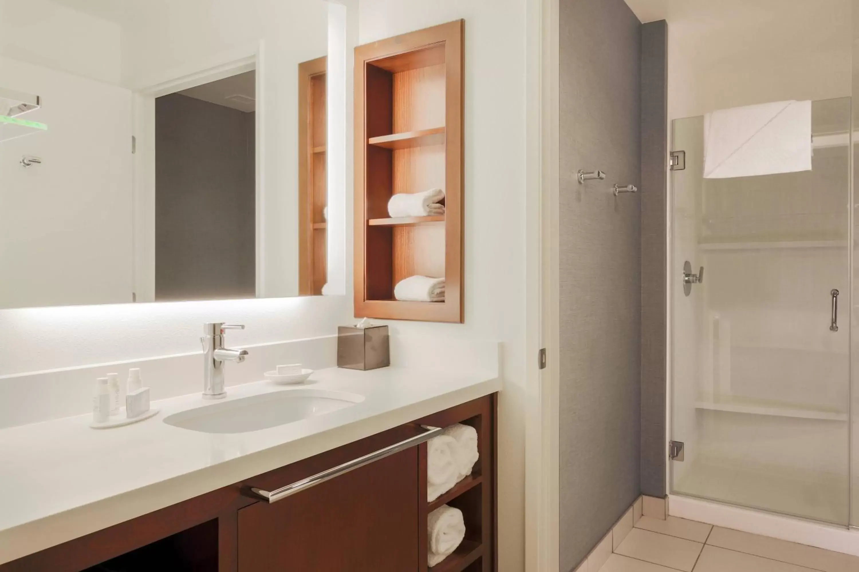 Bathroom in Residence Inn by Marriott San Jose Airport