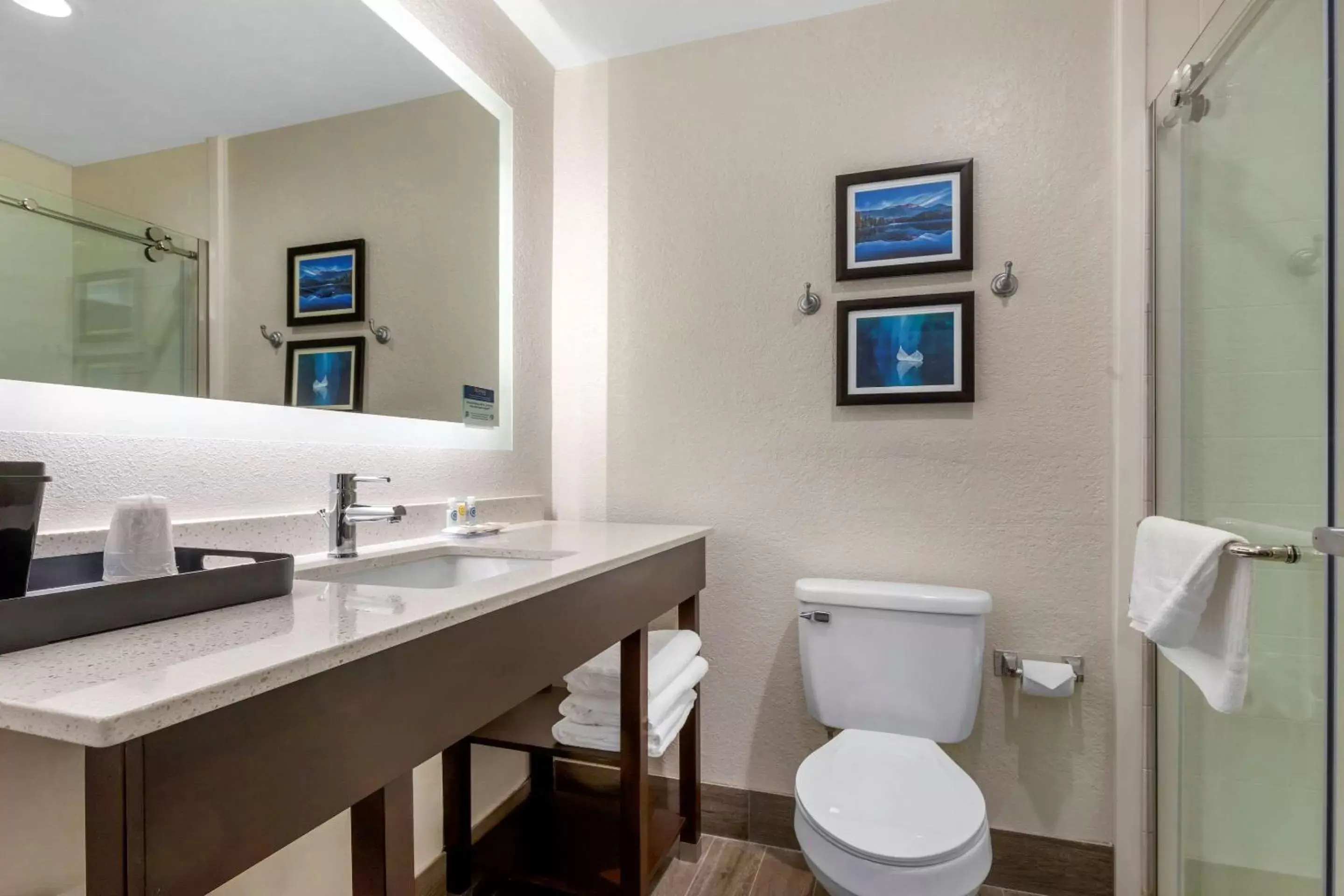 Bedroom, Bathroom in Comfort Inn & Suites Greer - Greenville