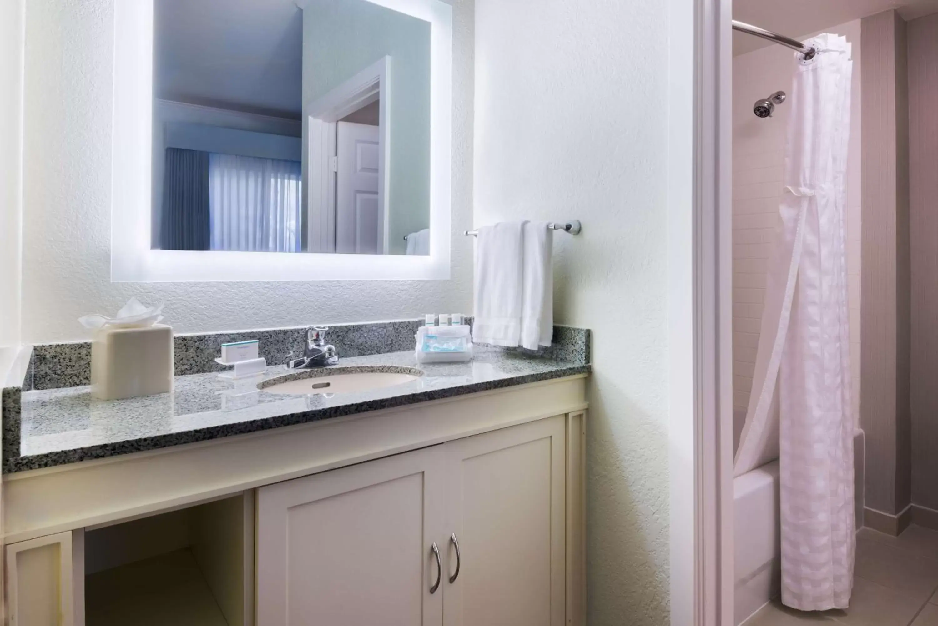 Bathroom in Homewood Suites by Hilton Bonita Springs