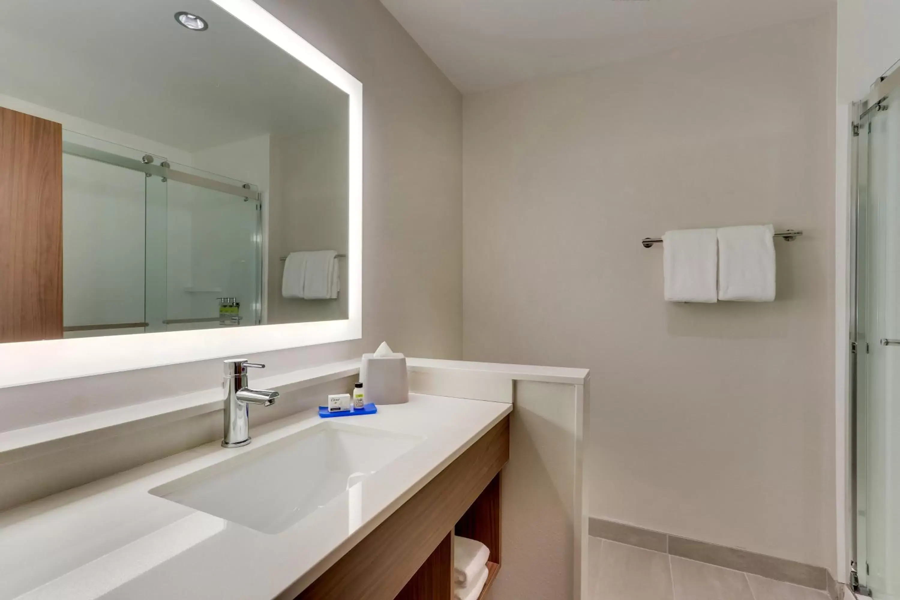 Photo of the whole room, Bathroom in Holiday Inn Express & Suites - Dawsonville, an IHG Hotel