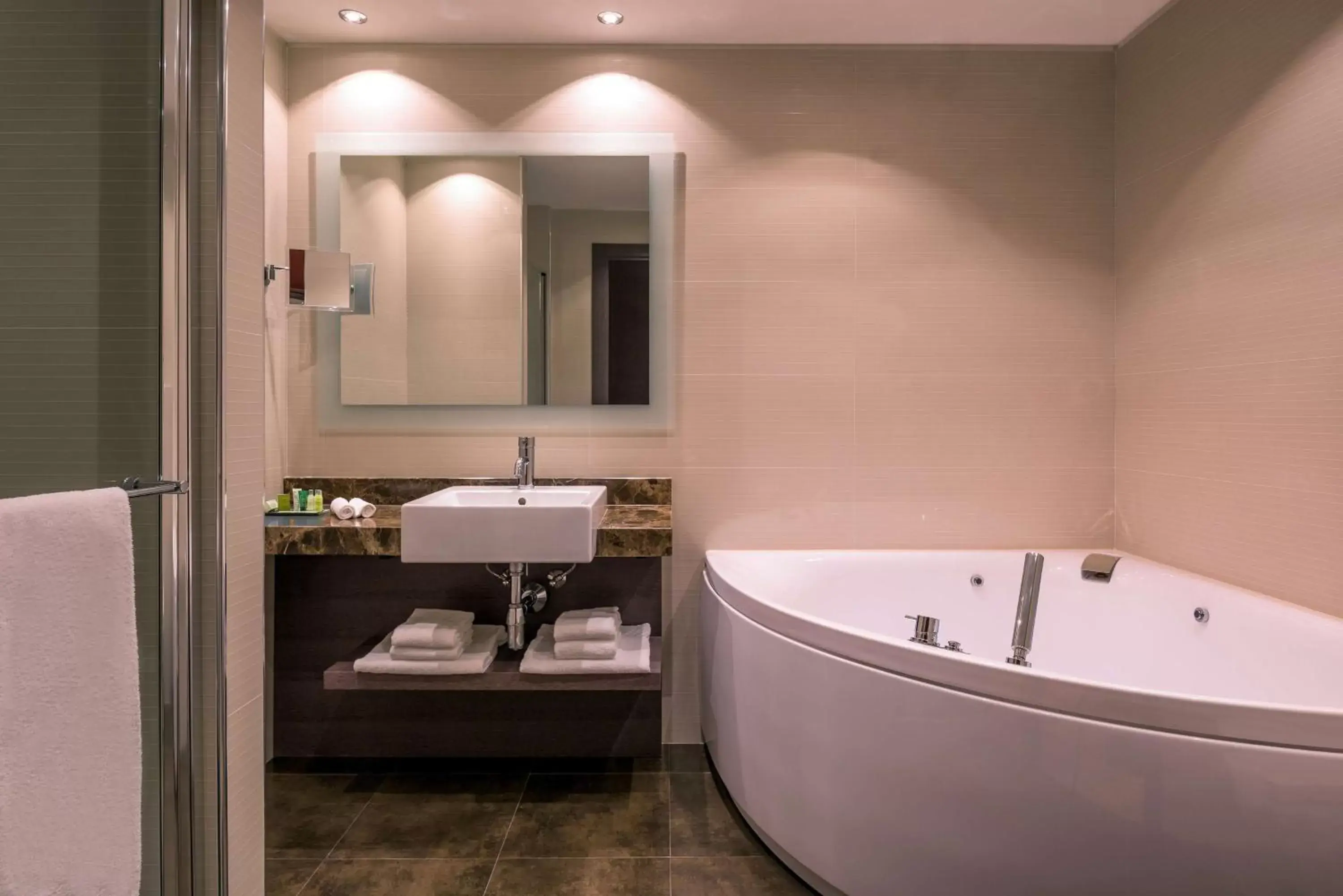 Bathroom in Hilton Geneva Hotel and Conference Centre